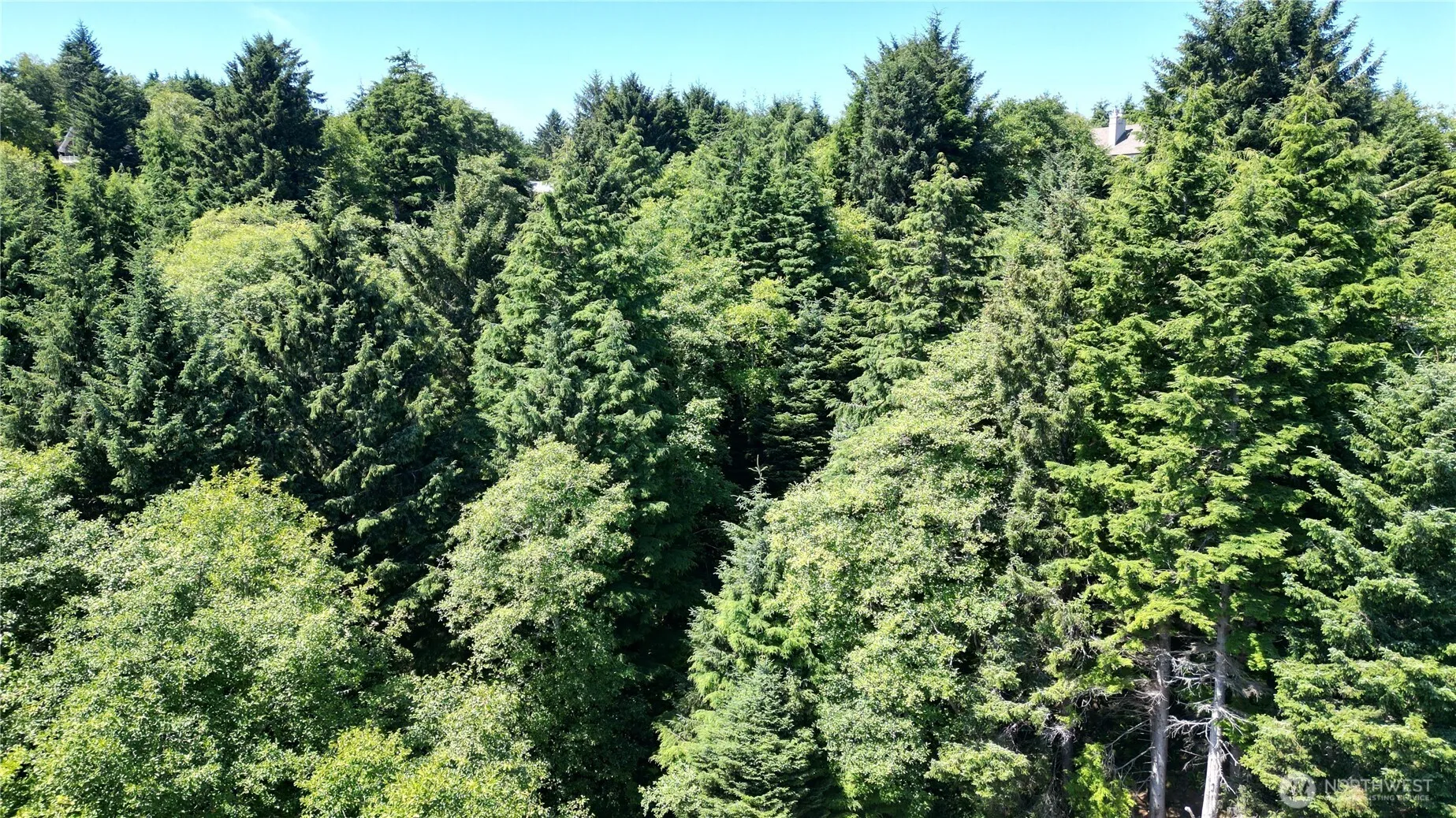 Property photo for 0 Lot 14 Lamontay Place, Ilwaco photo 5