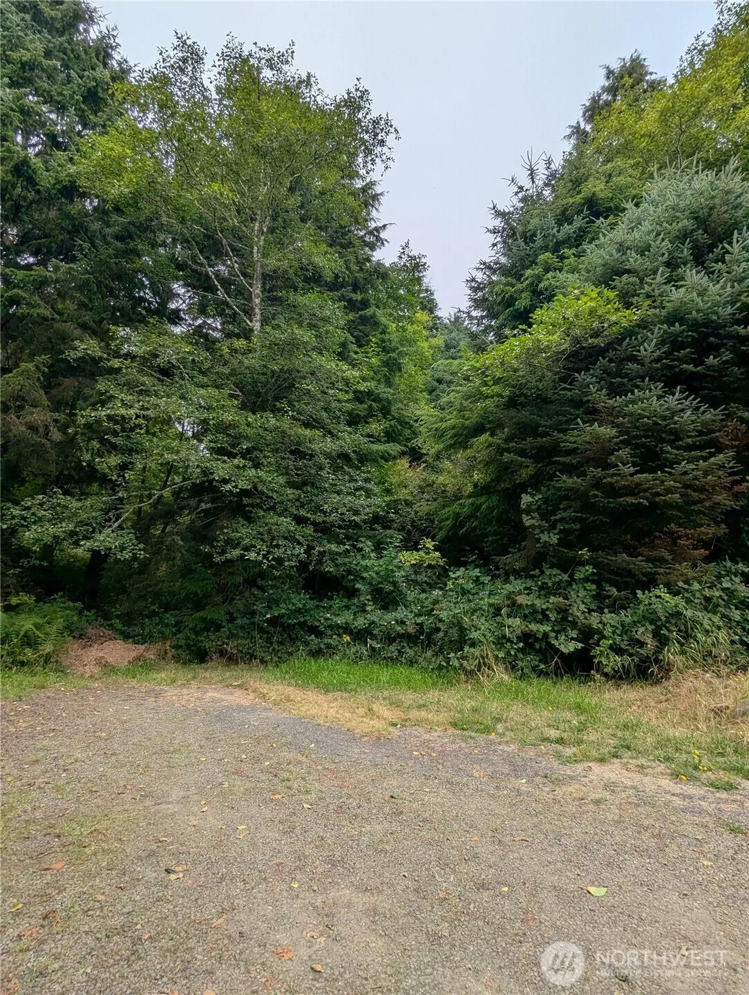 Property photo for 0 Lot 14 Lamontay Place, Ilwaco photo 4