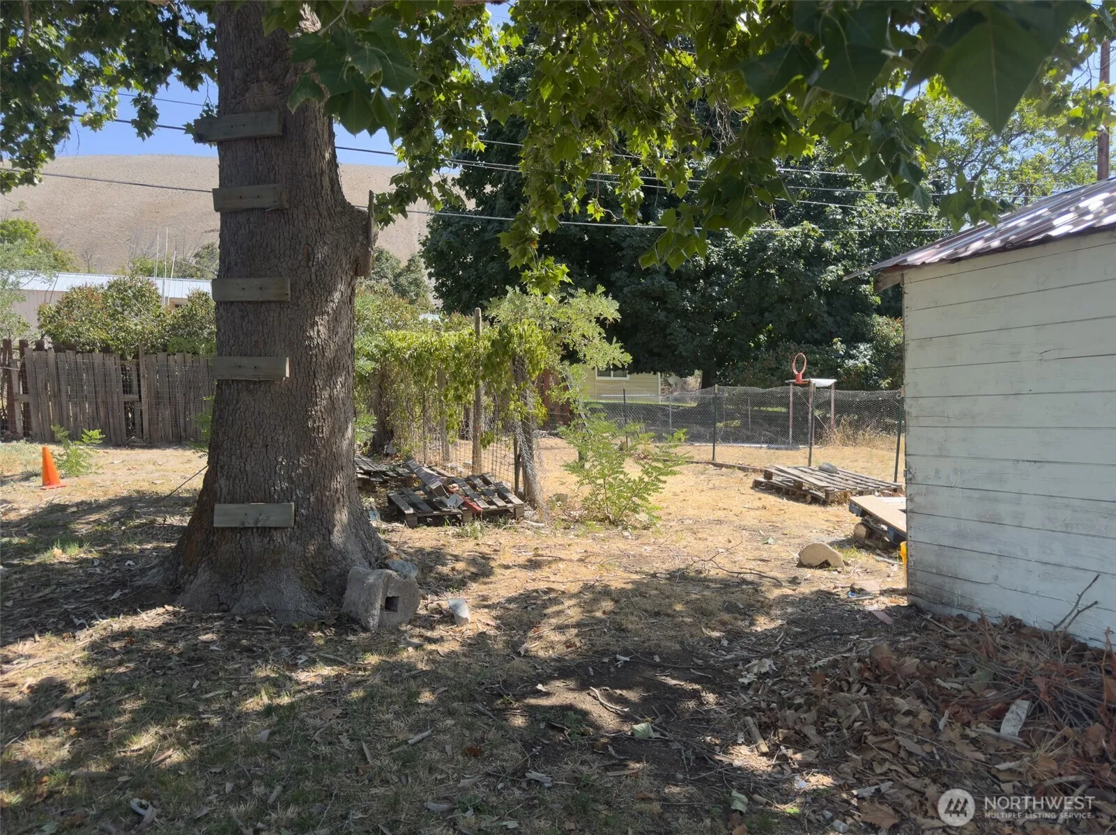 Property photo for 1013 Camas Street, Coulee Dam photo 4