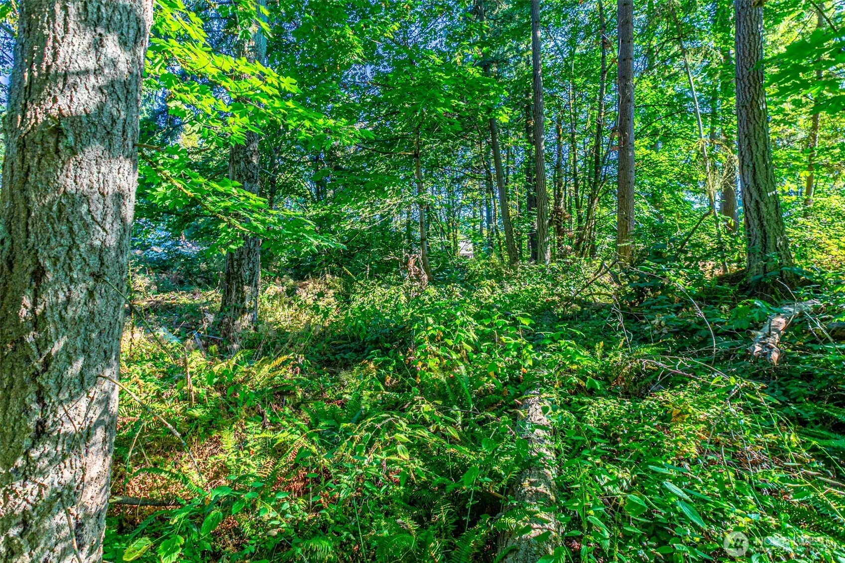 Property photo for 36922 6th Avenue Sw, Federal Way