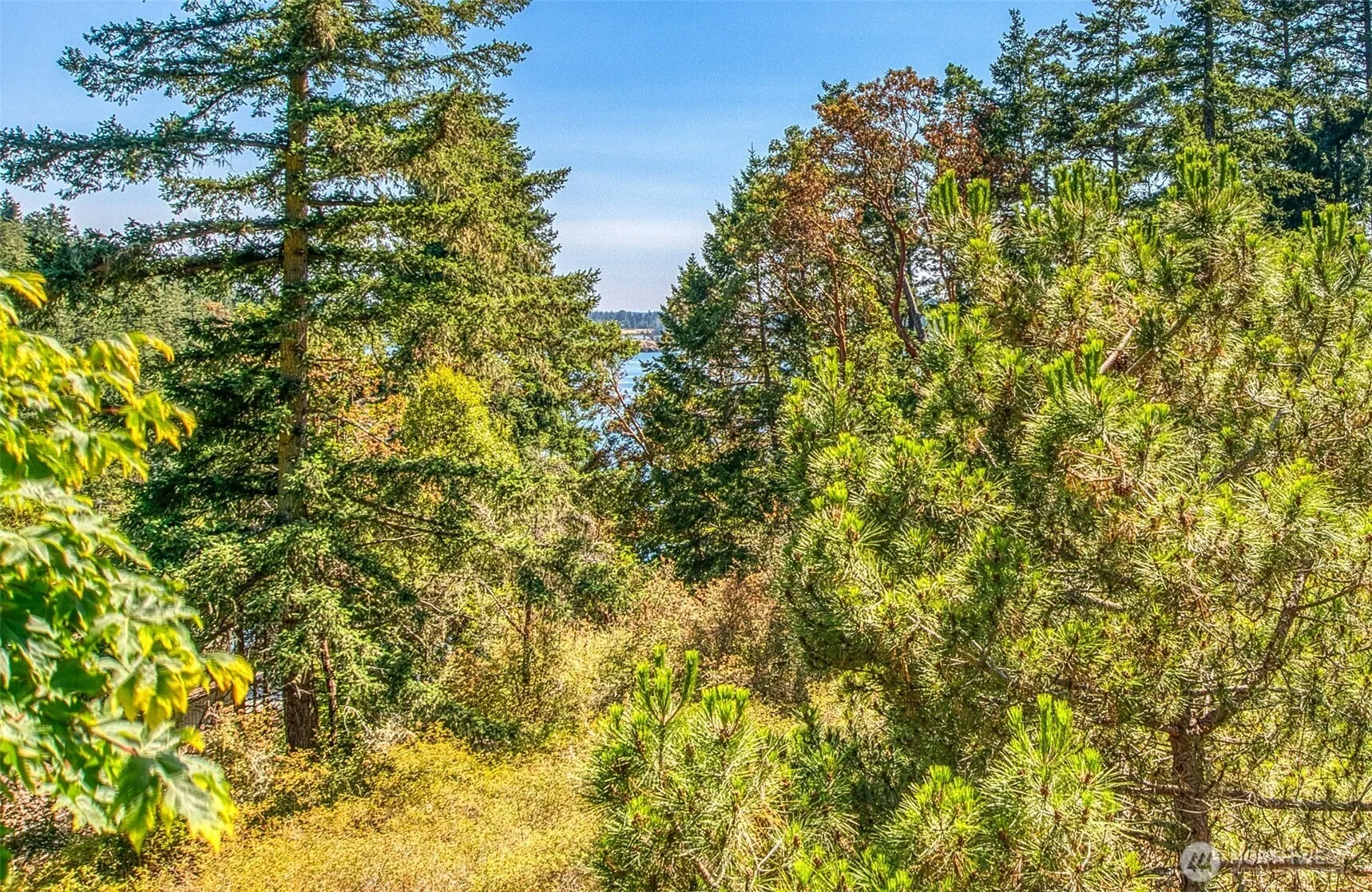 Property photo for 239 Killebrew Lake Road, Orcas Island photo 2