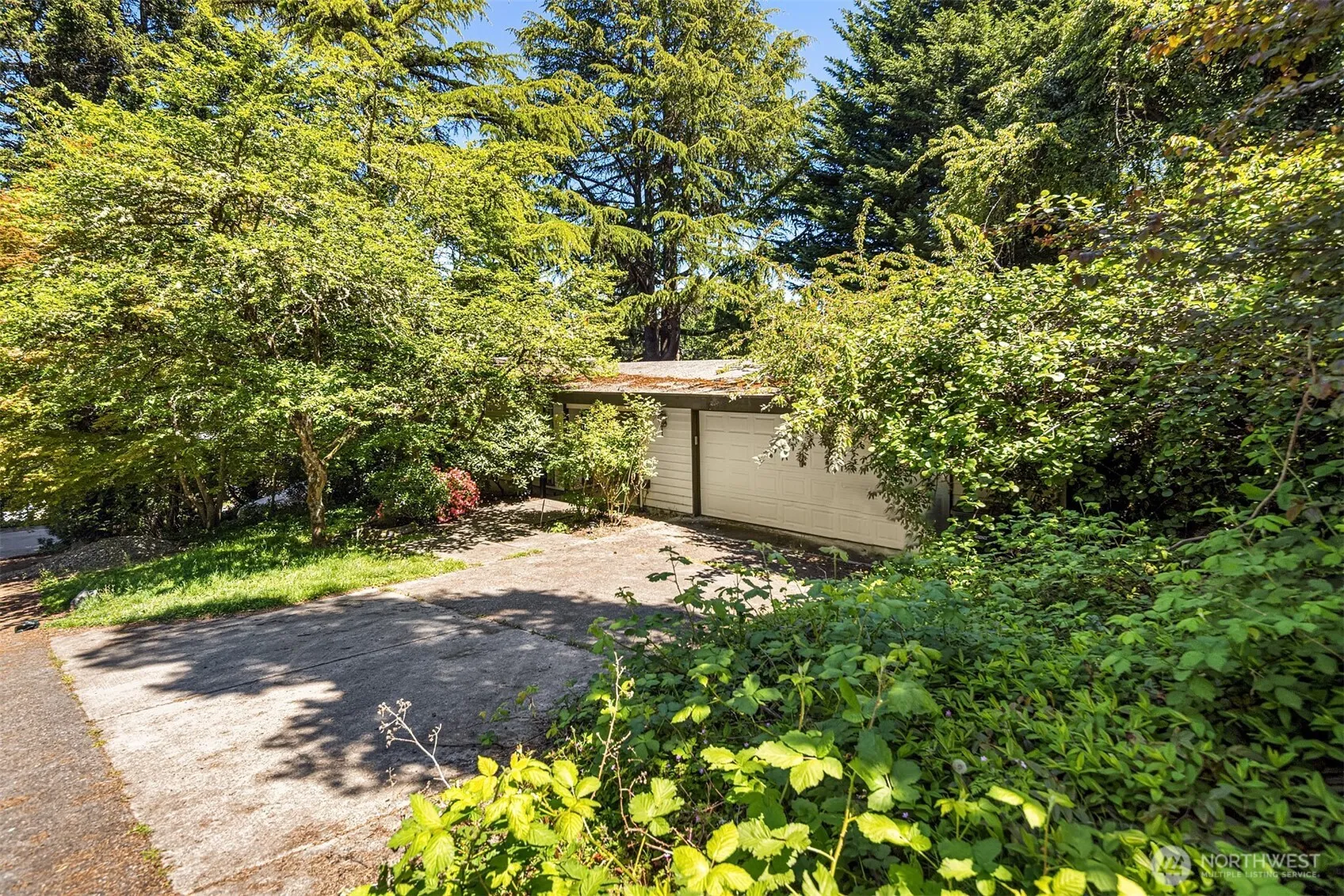 Property photo for 806 101st Avenue Se, Bellevue photo 4