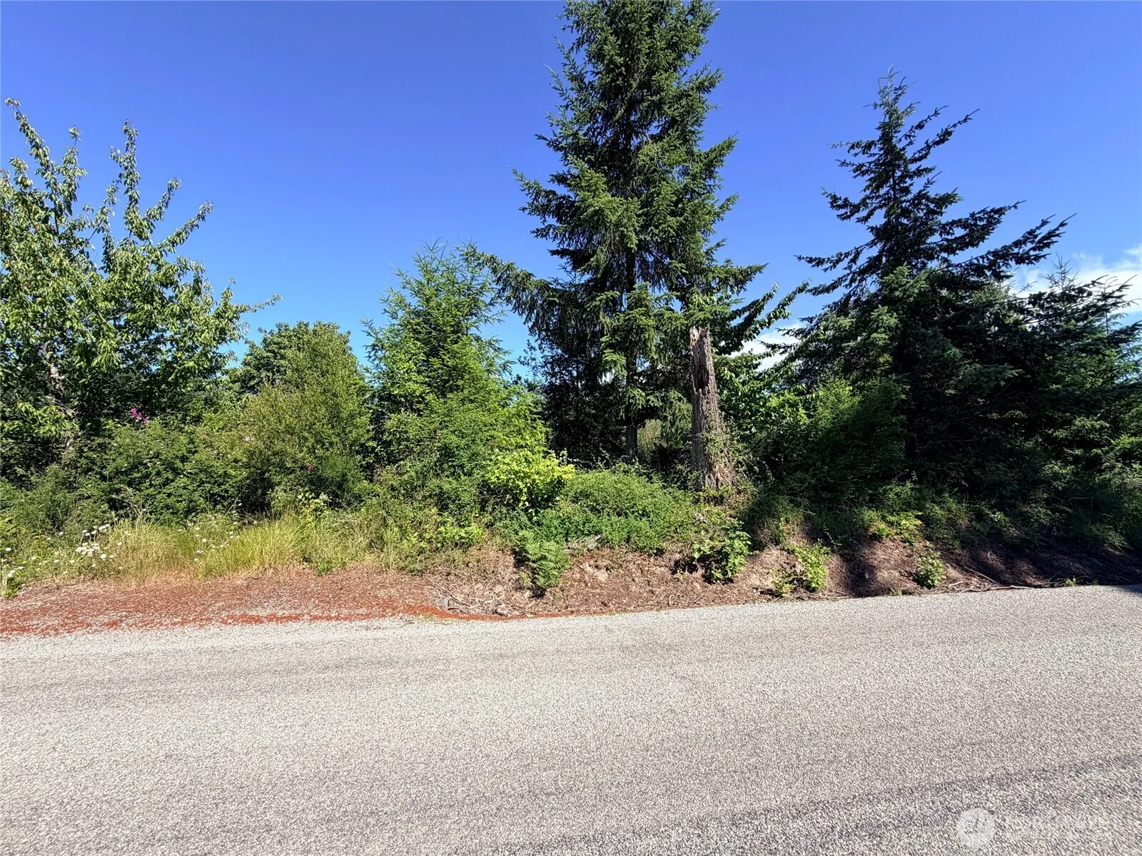 Property photo for 2721 158th Avenue Sw, Lakebay photo 5