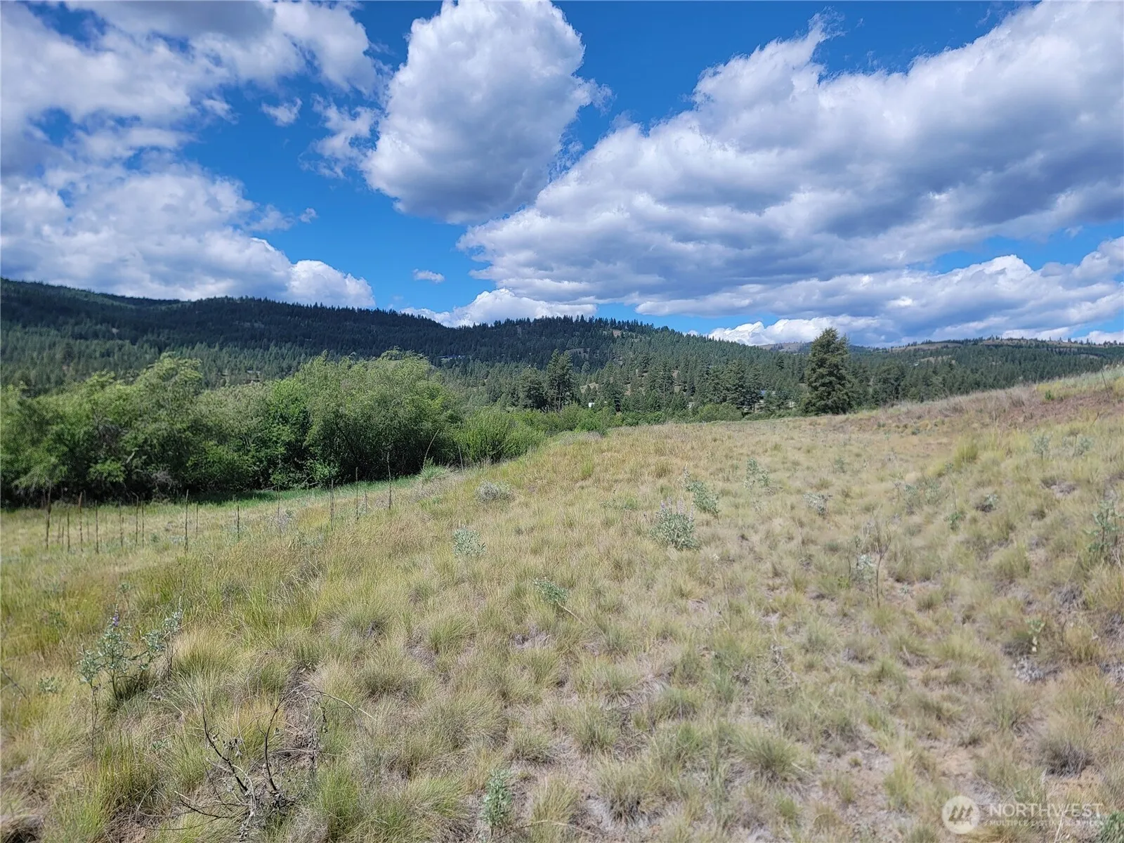 Property photo for 0 Curlew Drive, Republic photo 5
