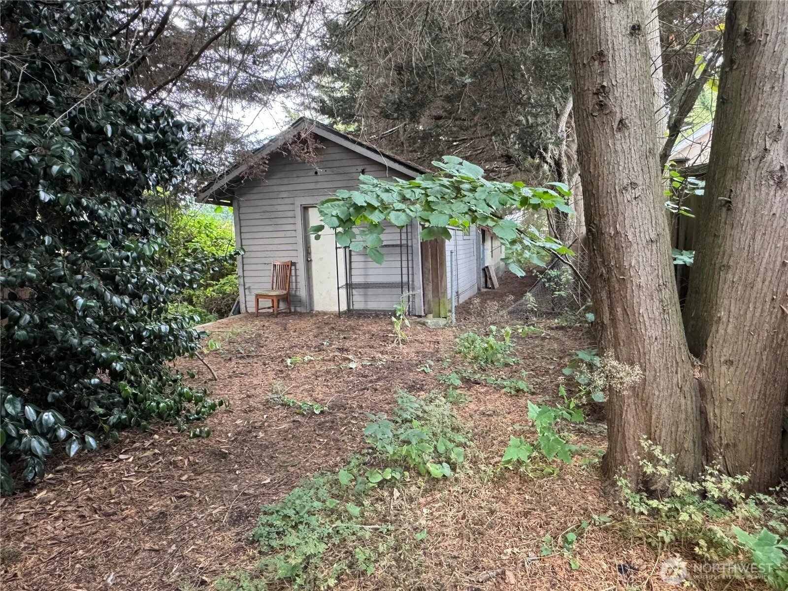 Property photo for 12243 16th Avenue S, Seattle photo 4