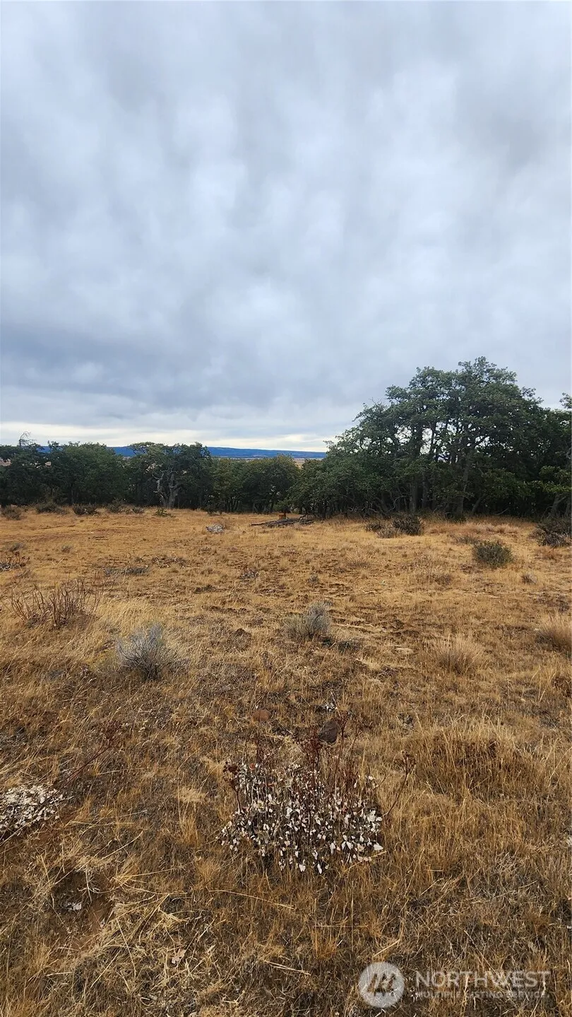 Property photo for 295 Oak Flatt Rd, Goldendale photo 4