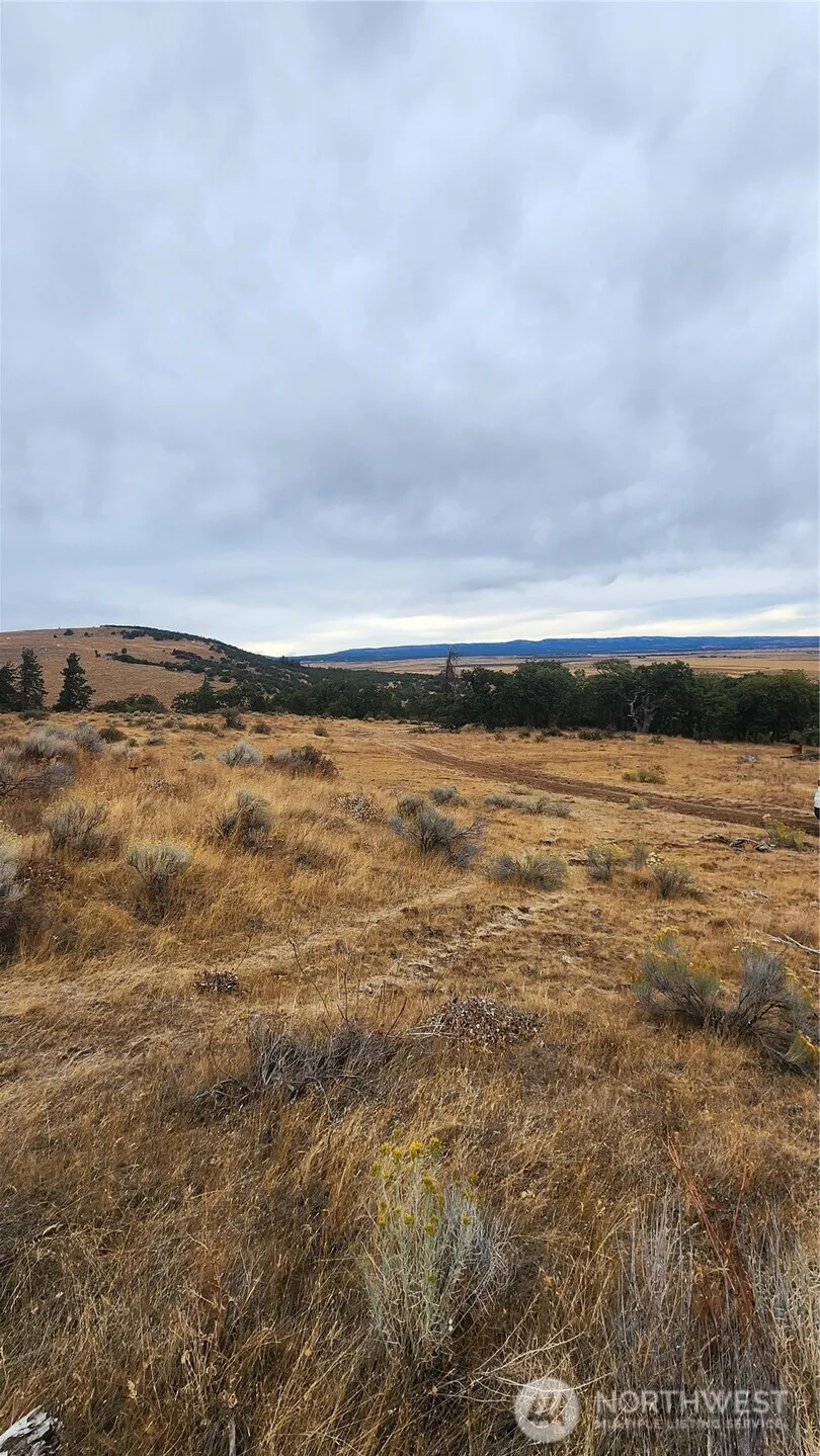 Property photo for 295 Oak Flatt Rd, Goldendale photo 5