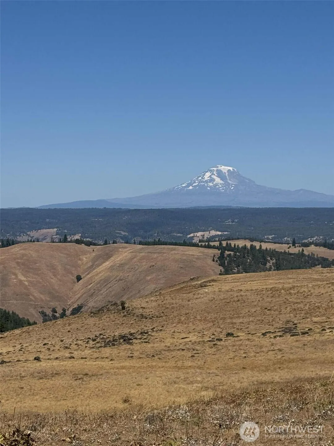Property photo for 0 Parcel #03140400000200, White Salmon