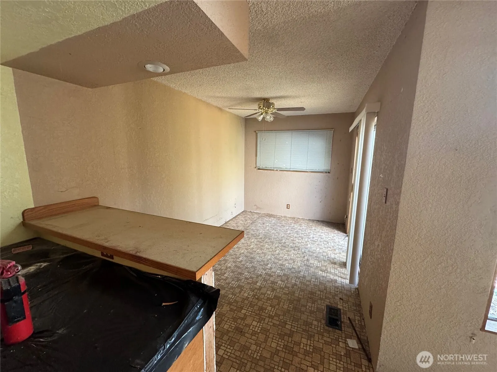 Property photo for 4939 Sw Bruce Street, Seattle photo 5