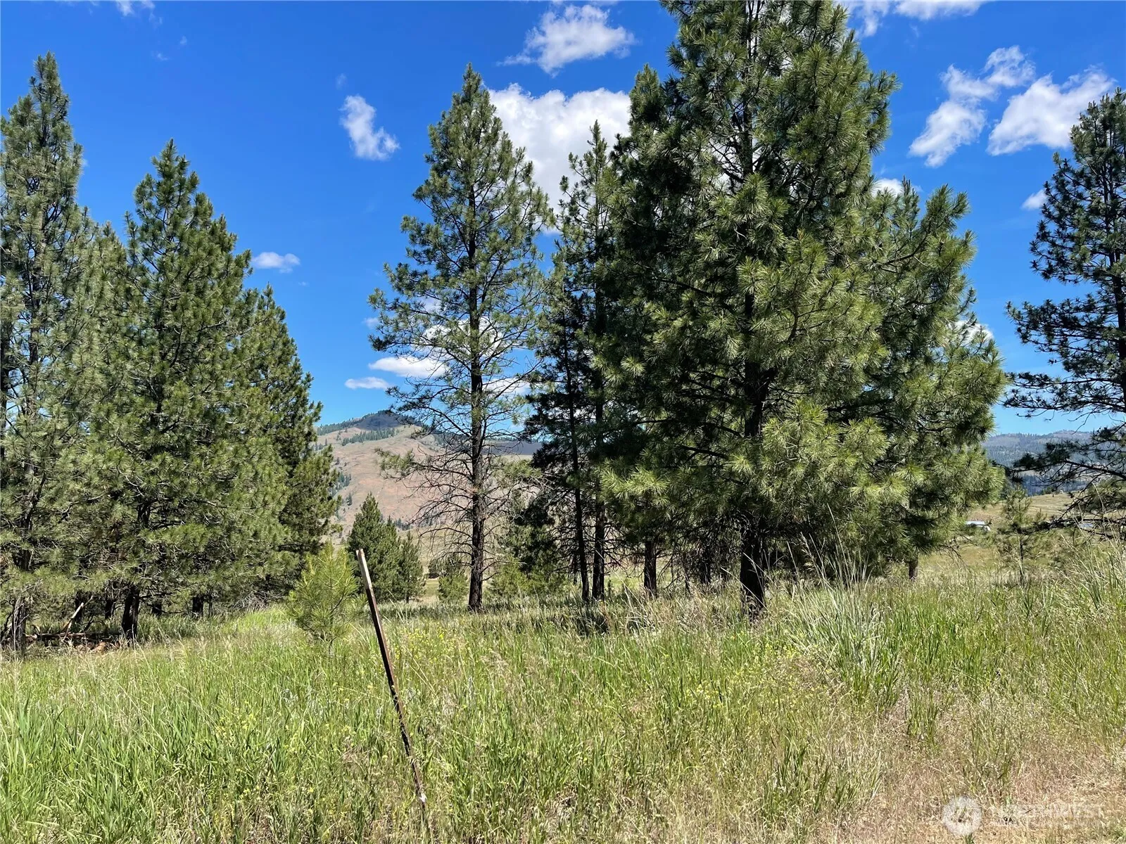 Property photo for 0 A Chopaka Way, Tonasket photo 3