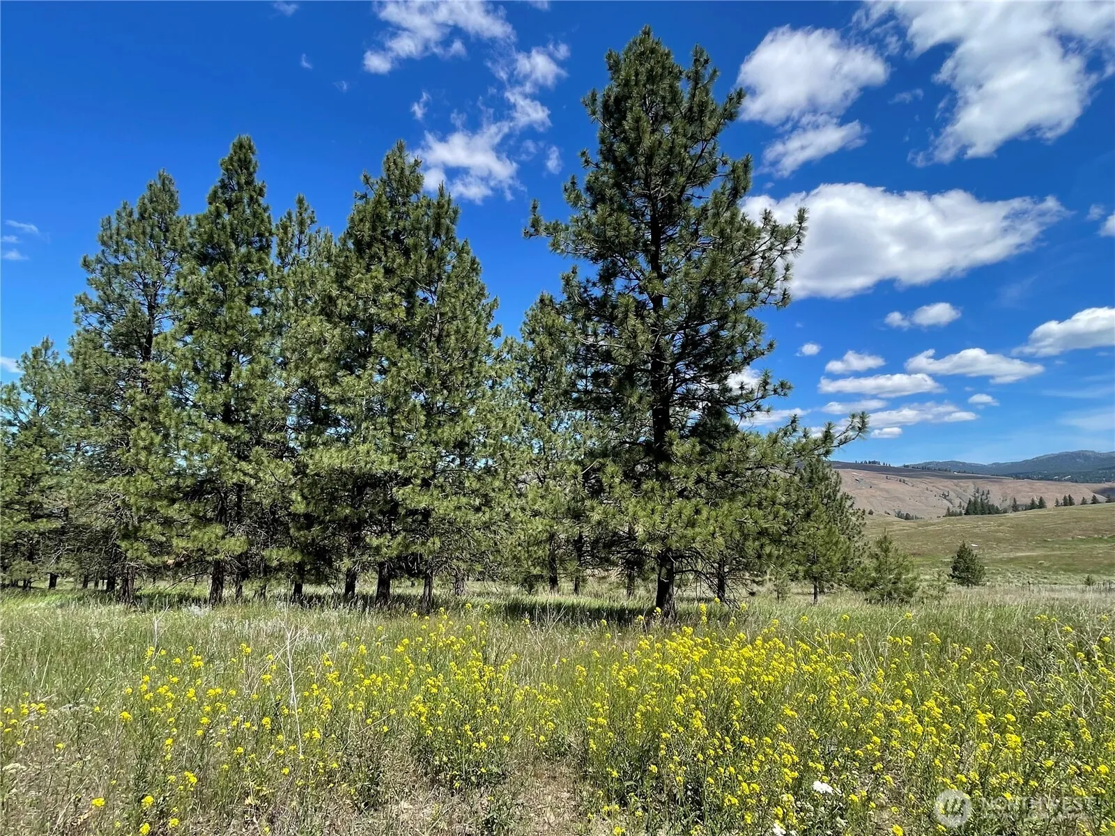 Property photo for 0 A Chopaka Way, Tonasket photo 2