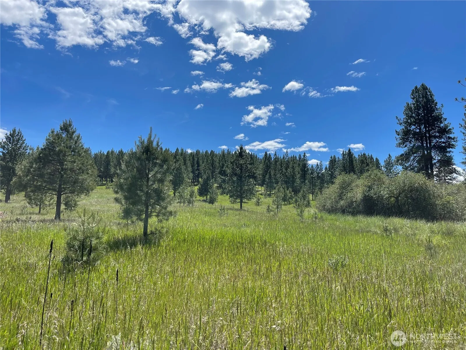 Property photo for 0 A Chopaka Way, Tonasket