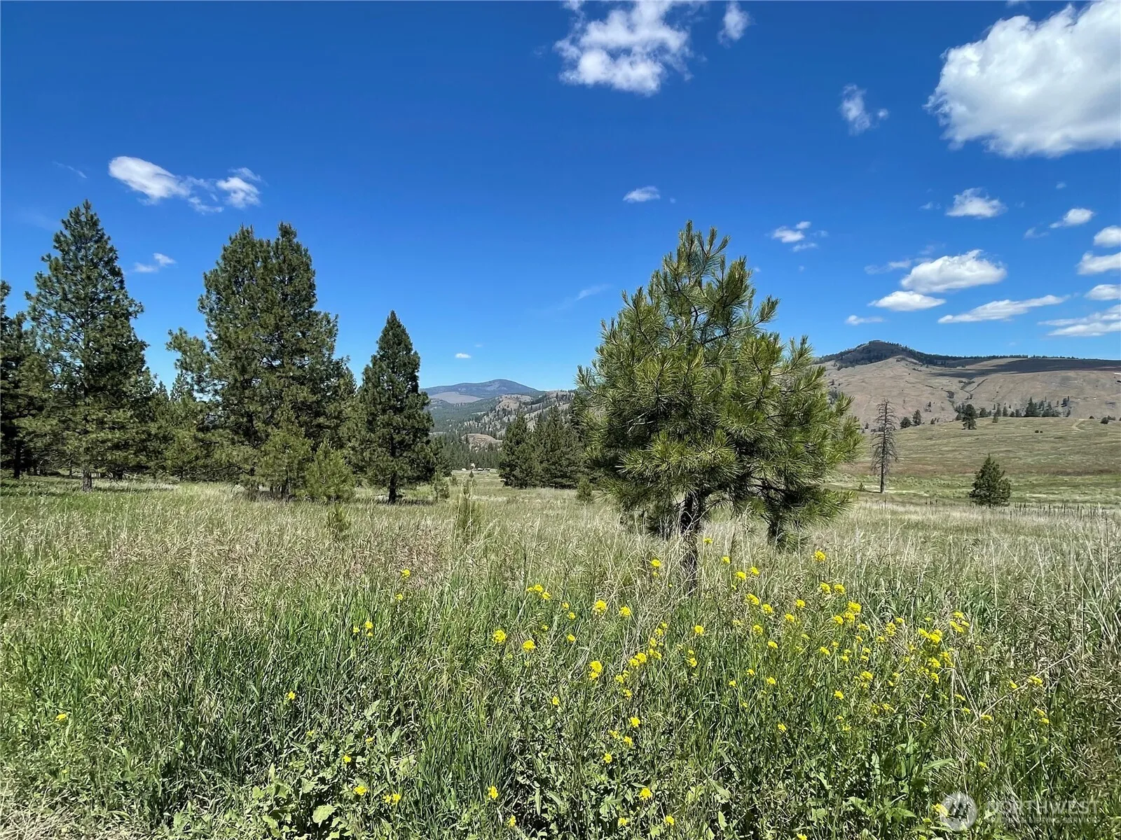 Property photo for 0 B Chopaka Way, Tonasket photo 3