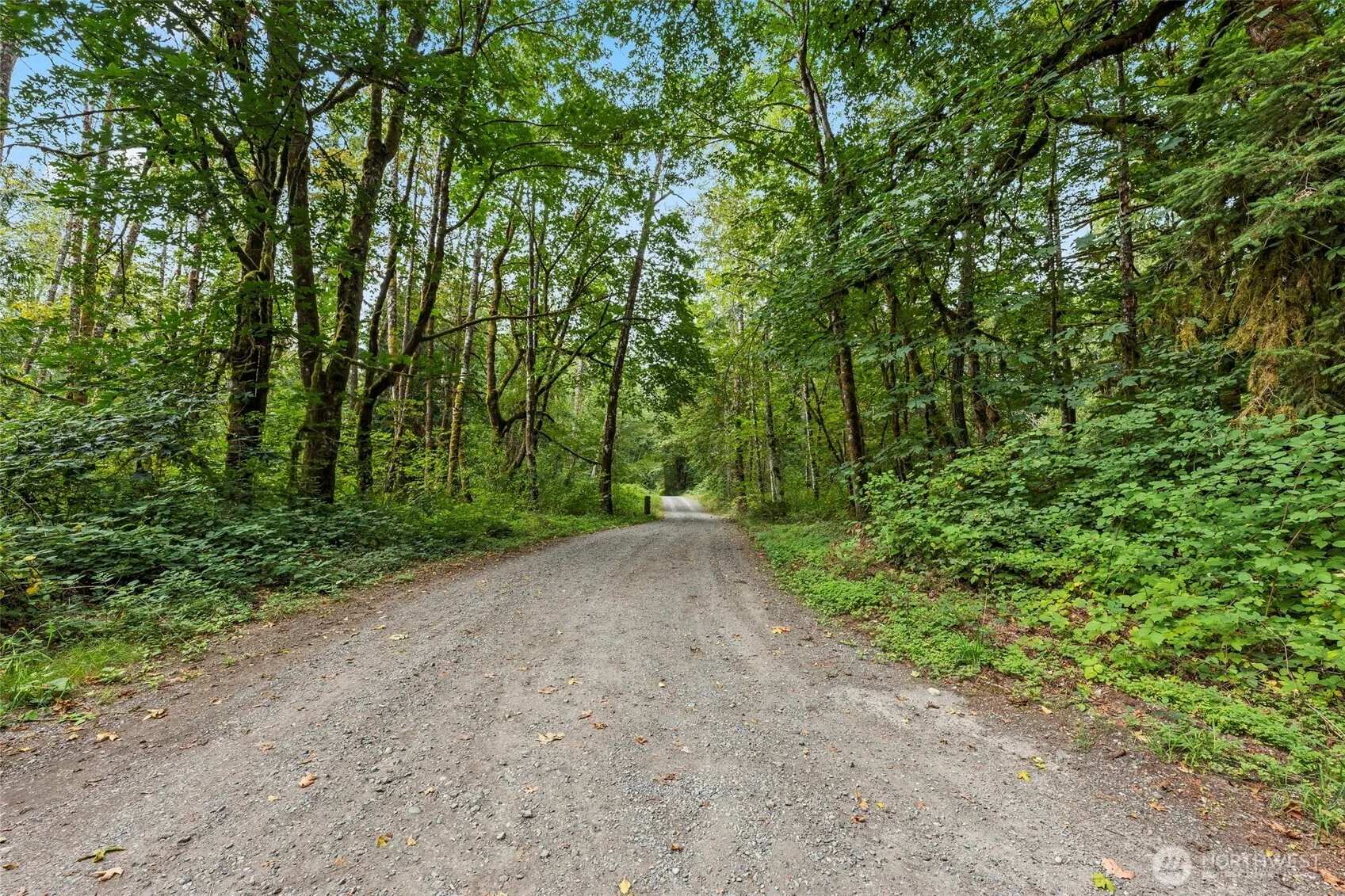 Property photo for 120 184th Avenue Ct Nw, Lakebay photo 3