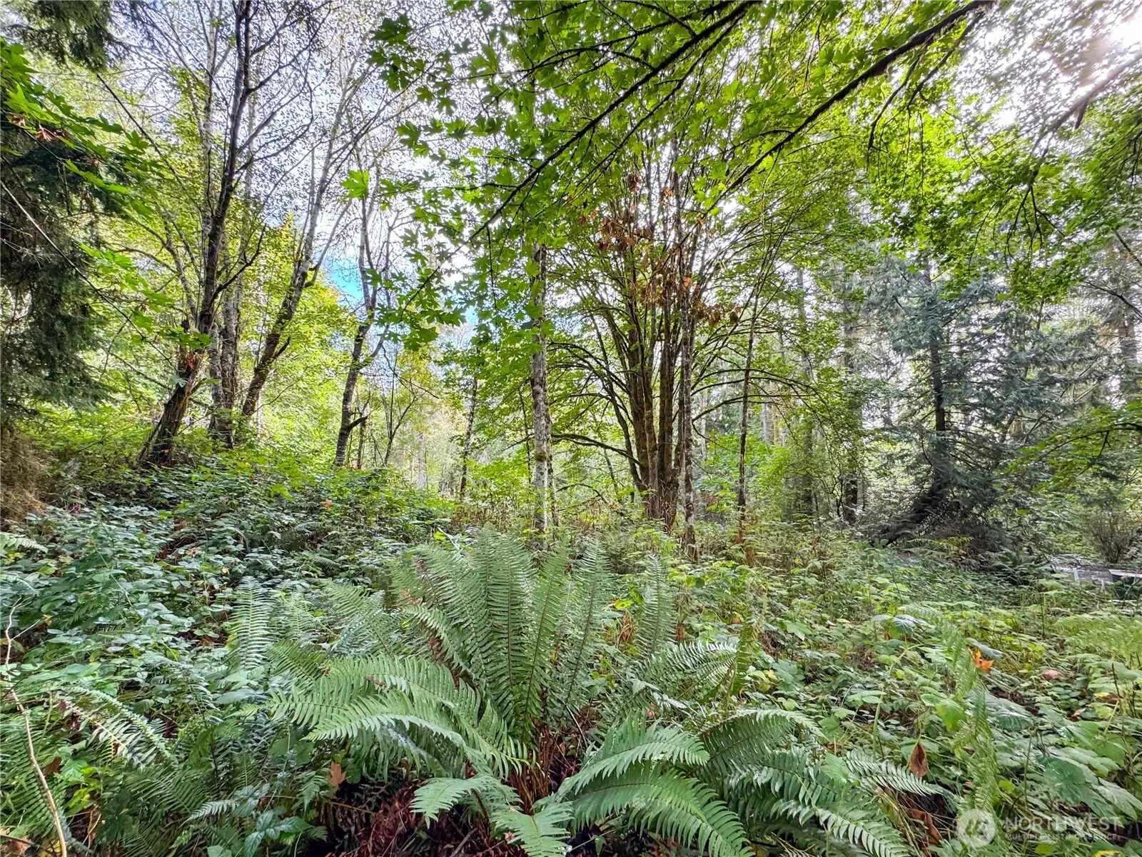 Property photo for 120 184th Avenue Ct Nw, Lakebay photo 2