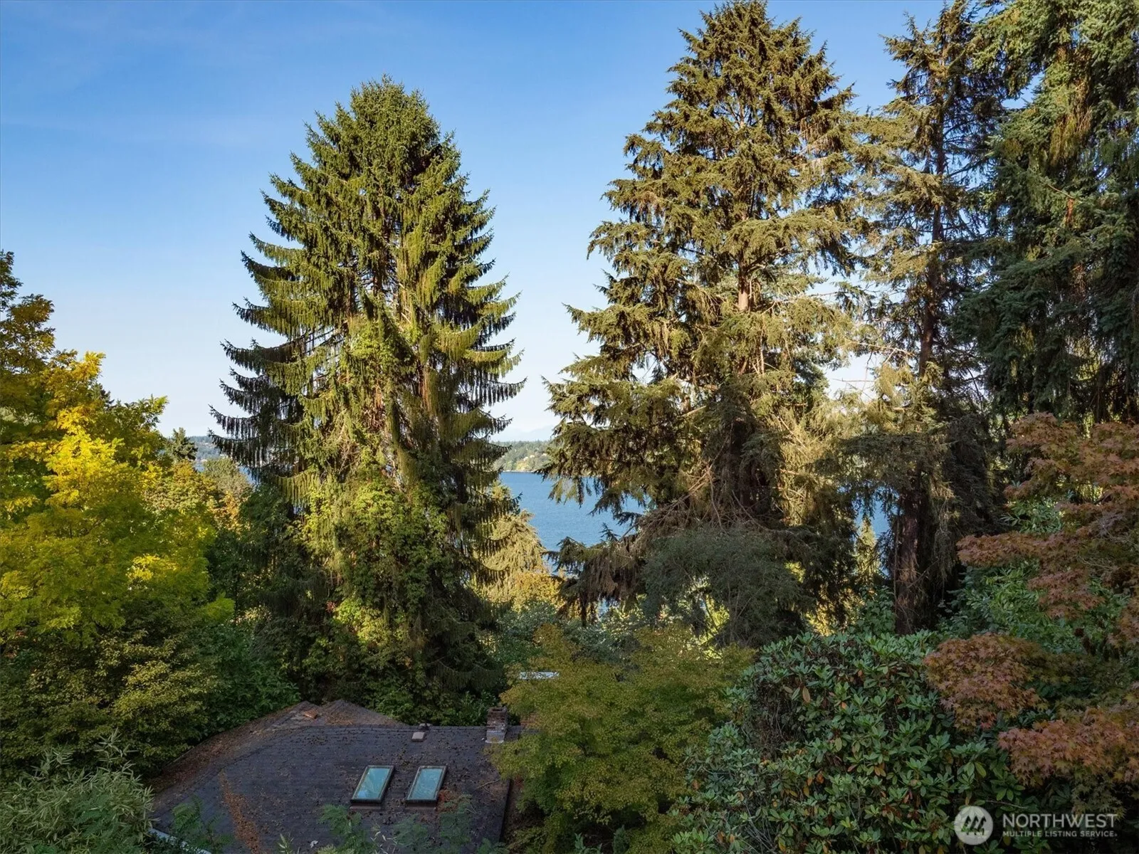 Property photo for 13558 41st Avenue Ne, Seattle photo 5