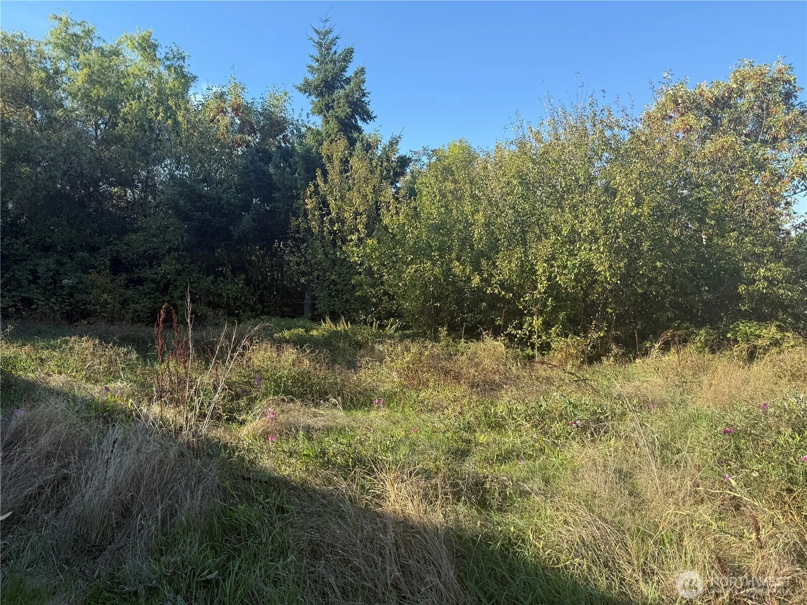 Property photo for 2928 S Bradford Street, Seattle photo 5