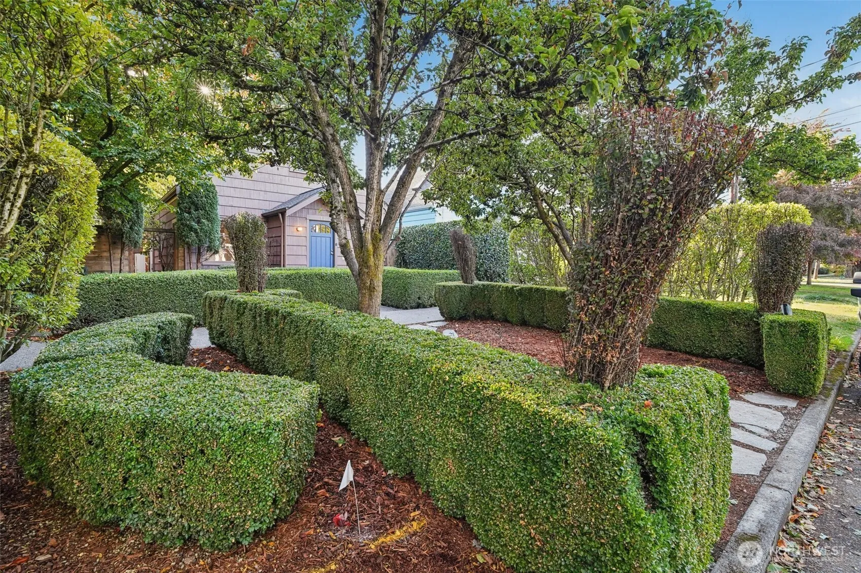 Property photo for 813 S Orcas Street, Seattle photo 4