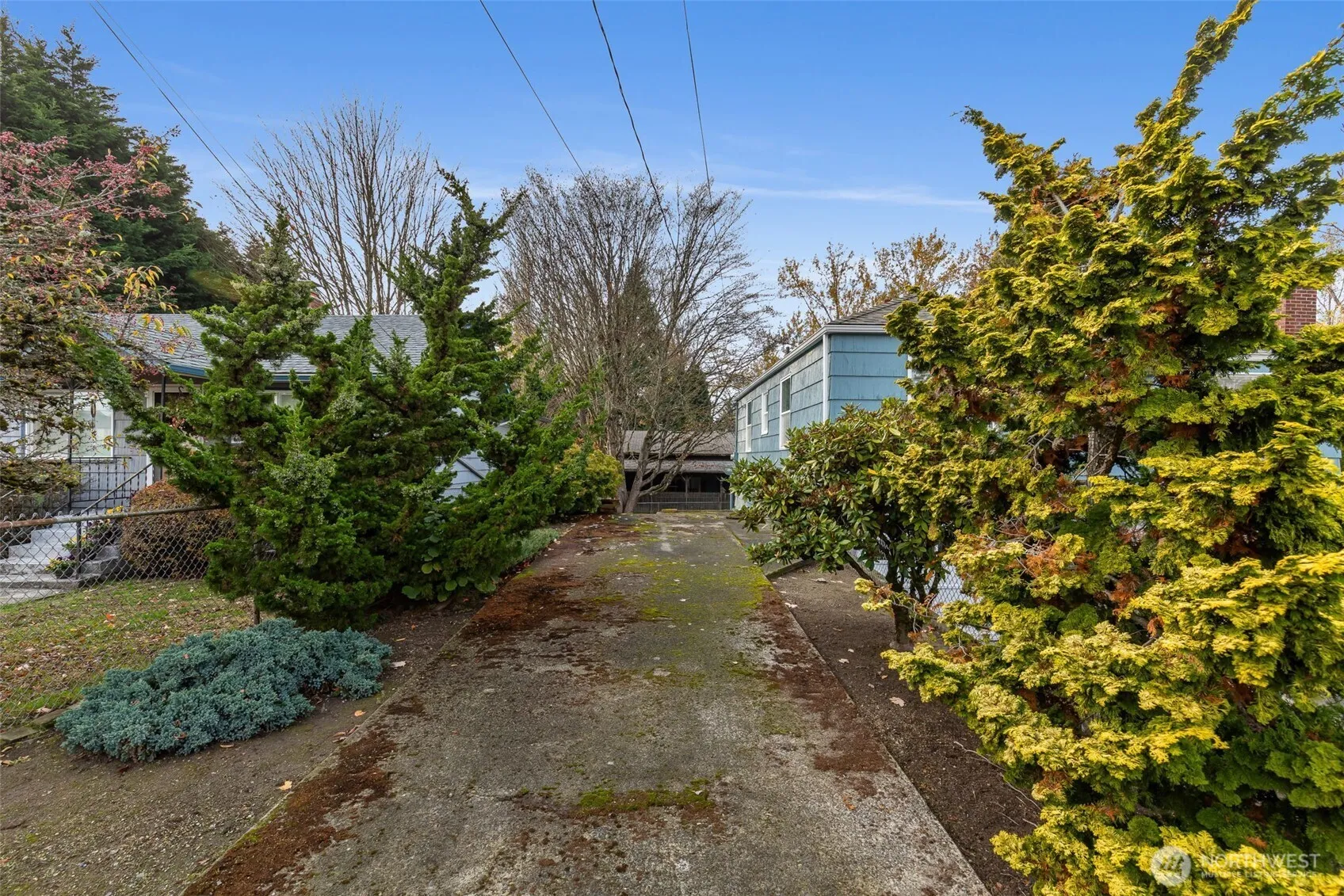 Property photo for 12207 S 14th Avenue, Seattle photo 4