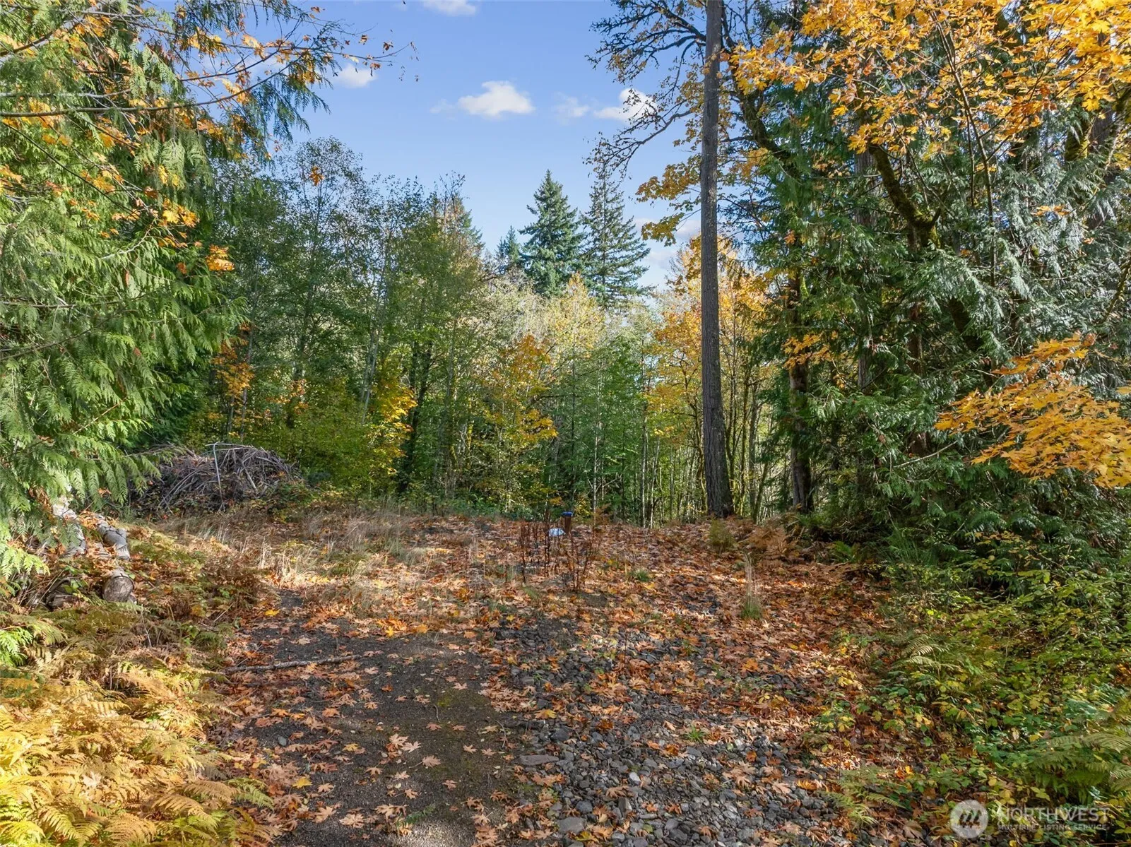 Property photo for 5787 E Collins Road, Port Orchard photo 2
