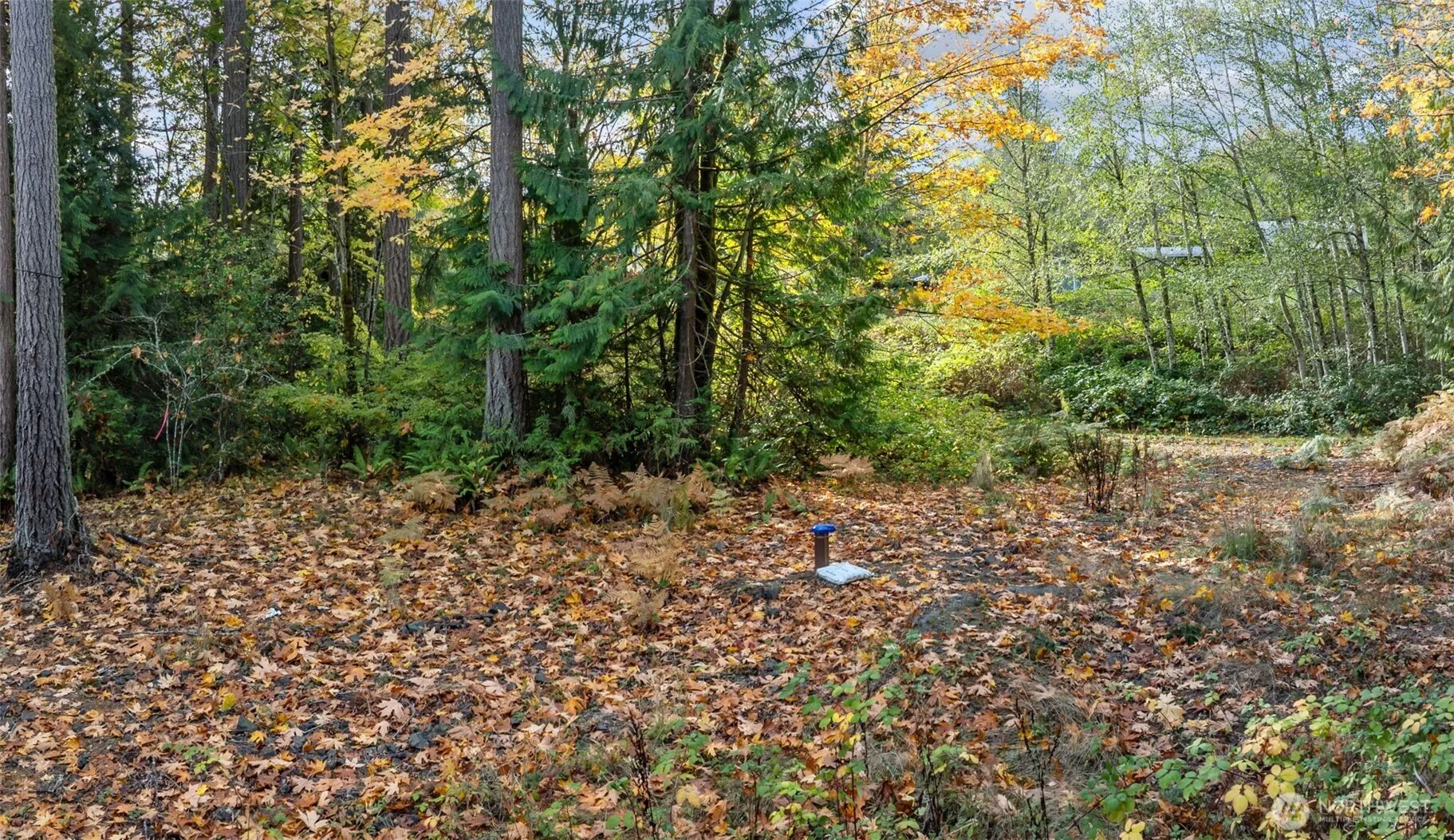 Property photo for 5787 E Collins Road, Port Orchard photo 3