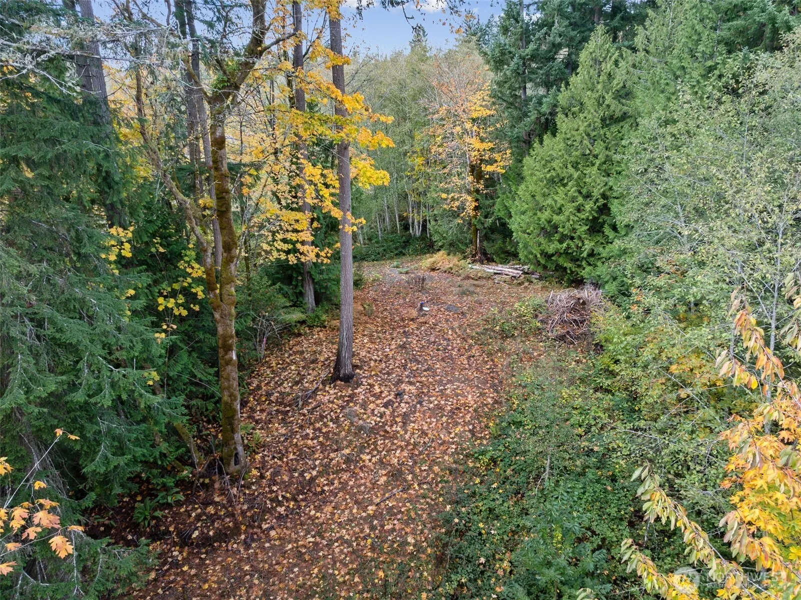 Property photo for 5787 E Collins Road, Port Orchard