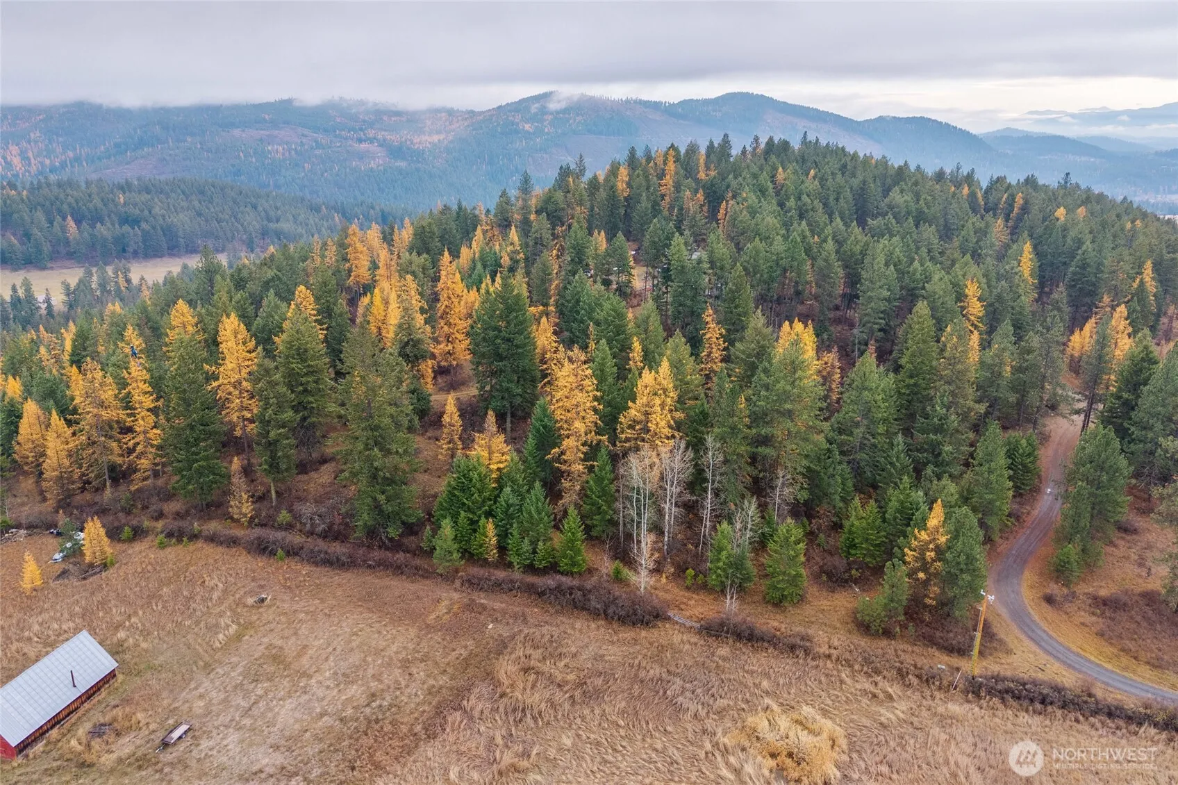 Property photo for 700 L Dry Gulch Road, Colville photo 3