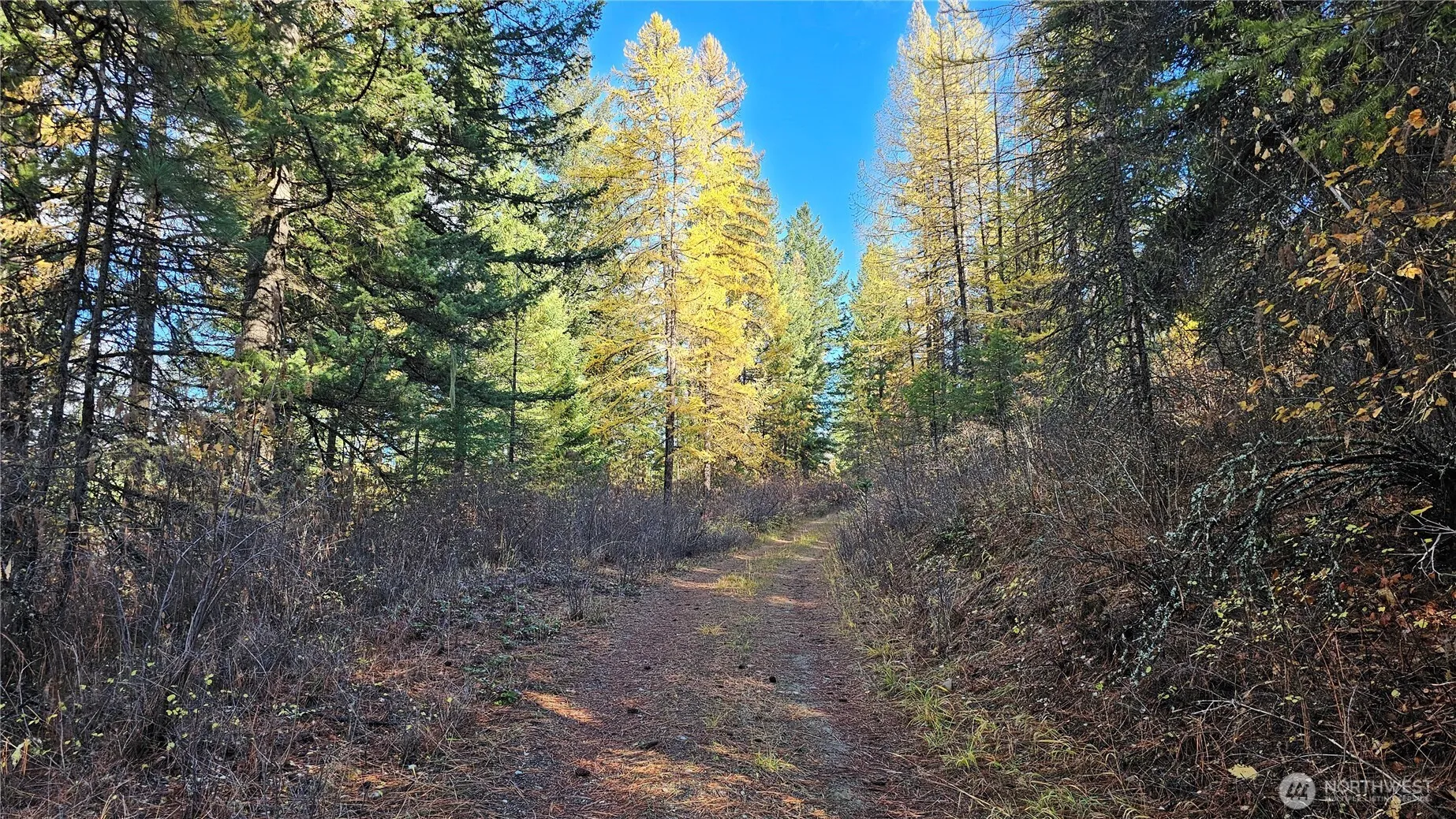 Property photo for 700 L Dry Gulch Road, Colville photo 5