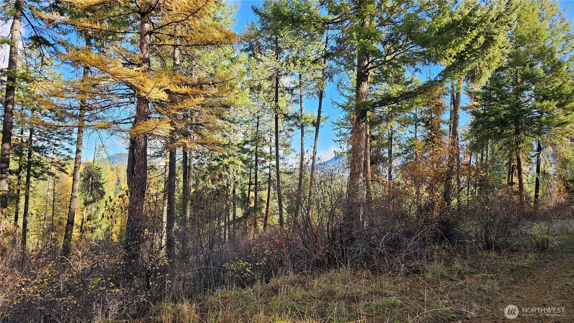 Property photo for 700 L Dry Gulch Road, Colville