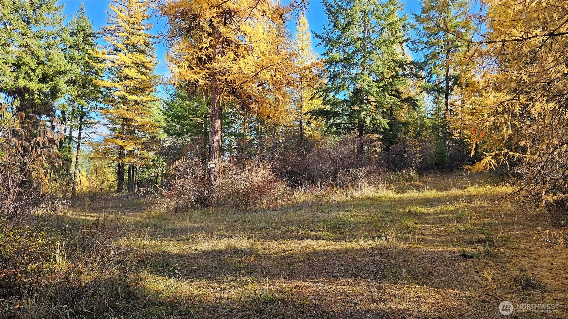 Property photo for 700 L Dry Gulch Road, Colville photo 2