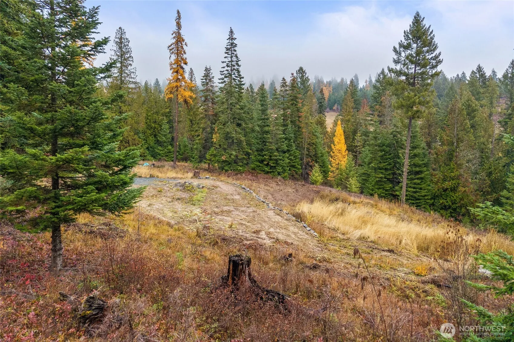Property photo for 717 B Finley Gulch Road, Colville