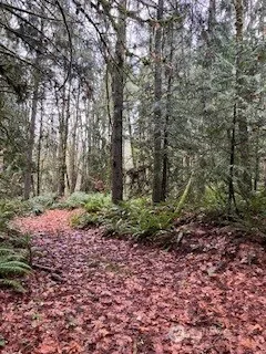 Property photo for 0 Glenwood Road Sw, Port Orchard