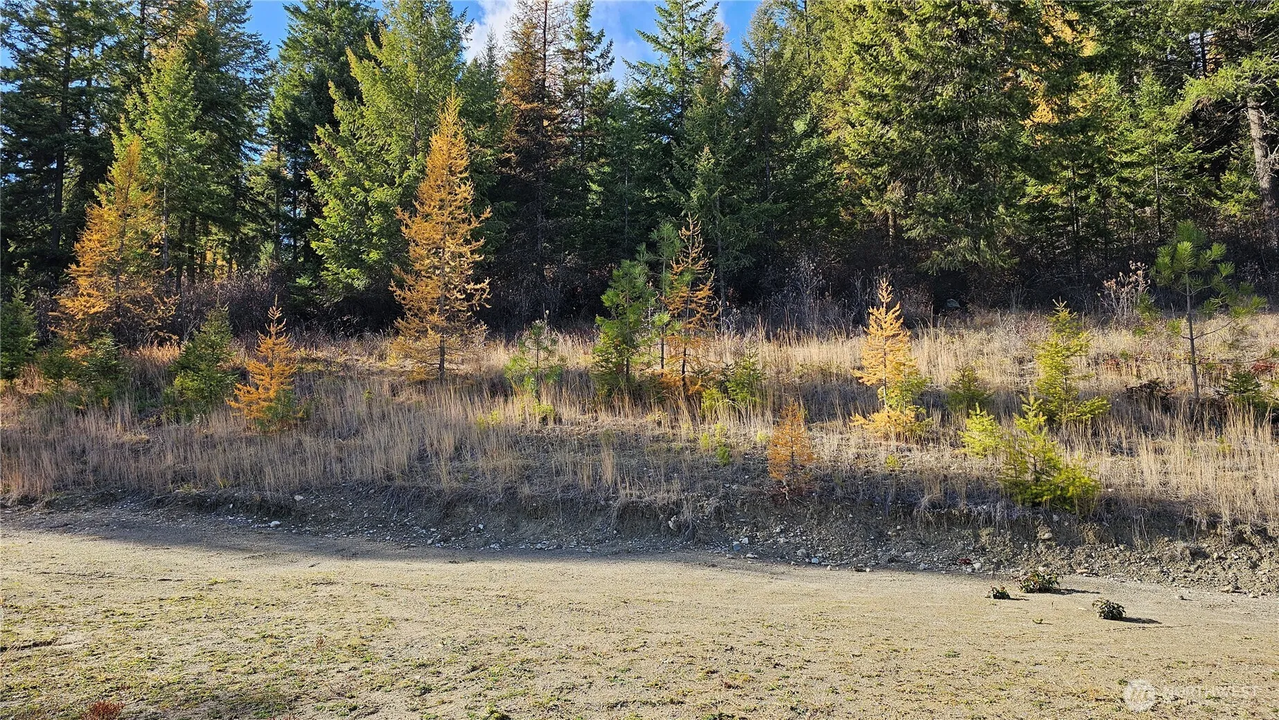 Property photo for 717 C Finley Gulch Rd., Colville photo 5