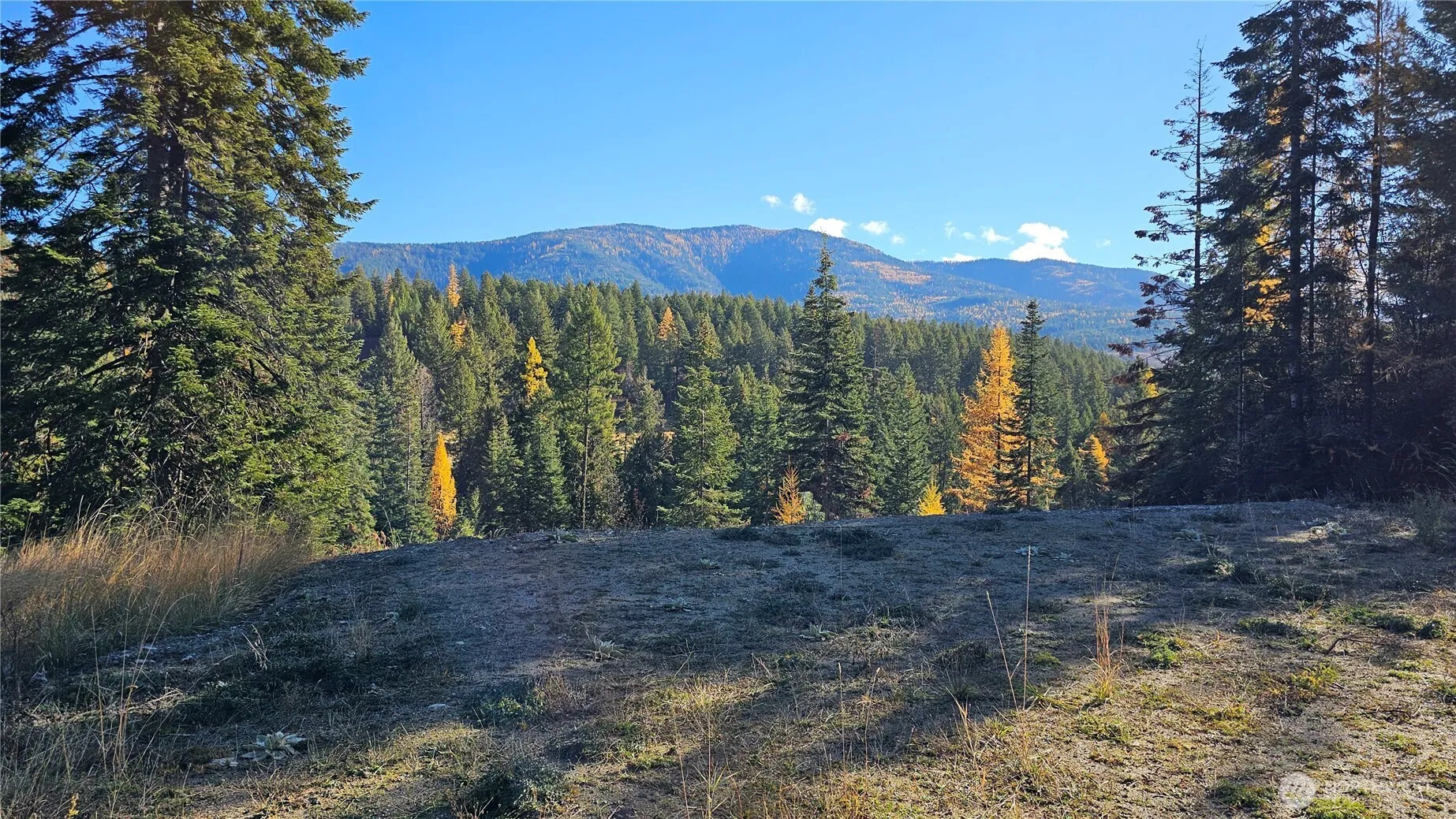 Property photo for 717 C Finley Gulch Rd., Colville photo 3