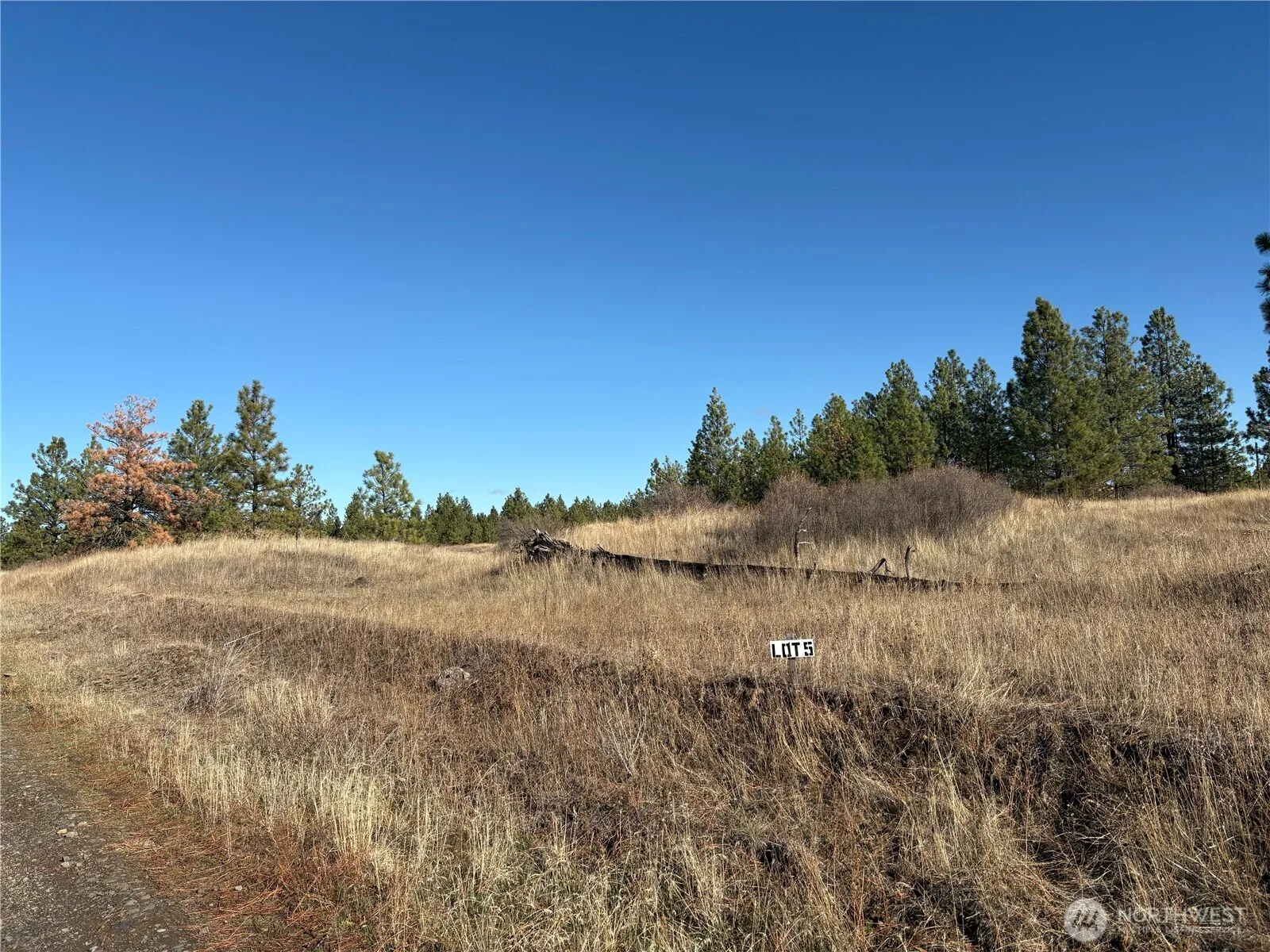 Property photo for 35390 Prairie Lane N #lot 5, Creston