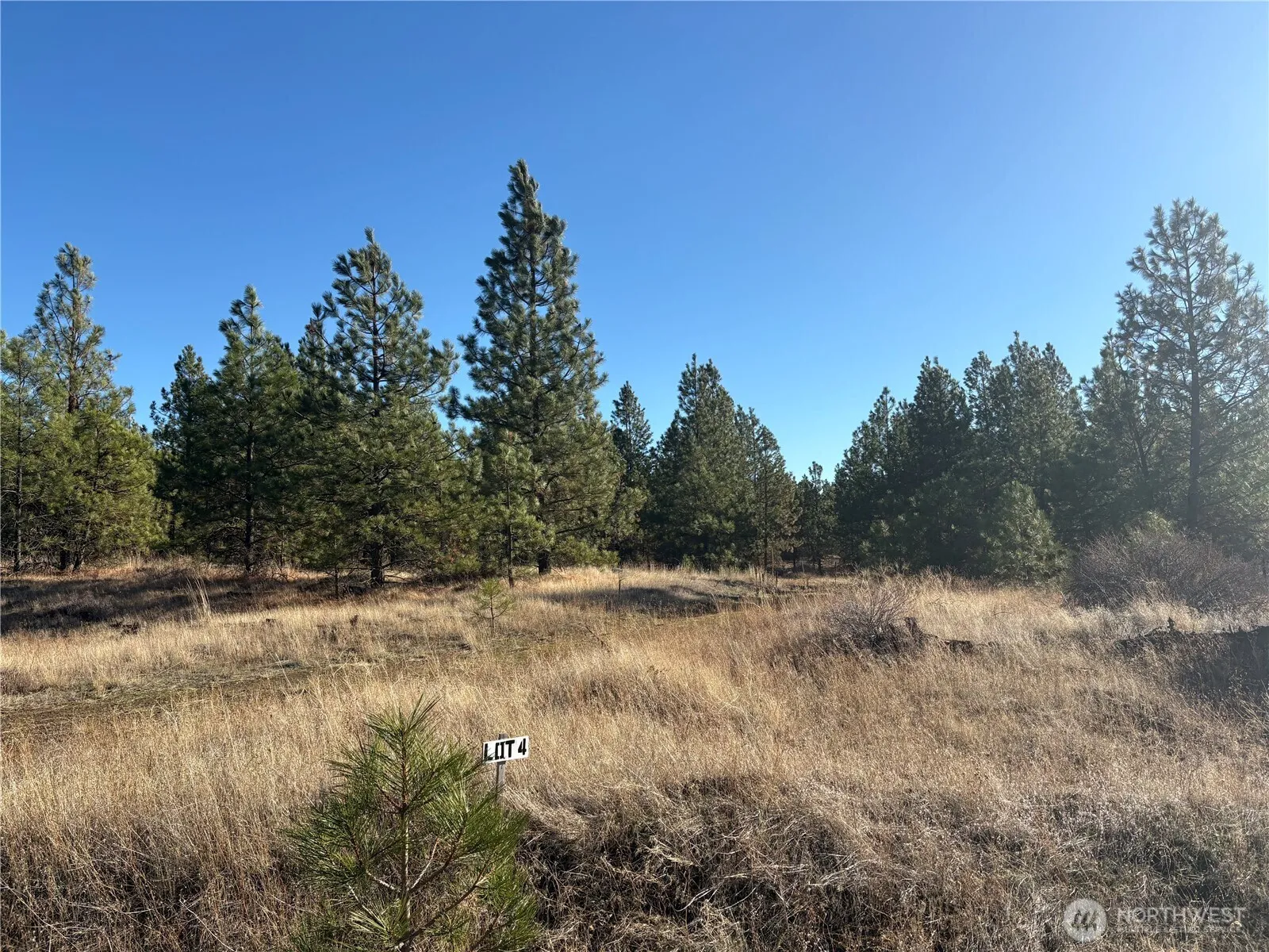 Property photo for 35410 Prairie Lane N #lot 4, Creston