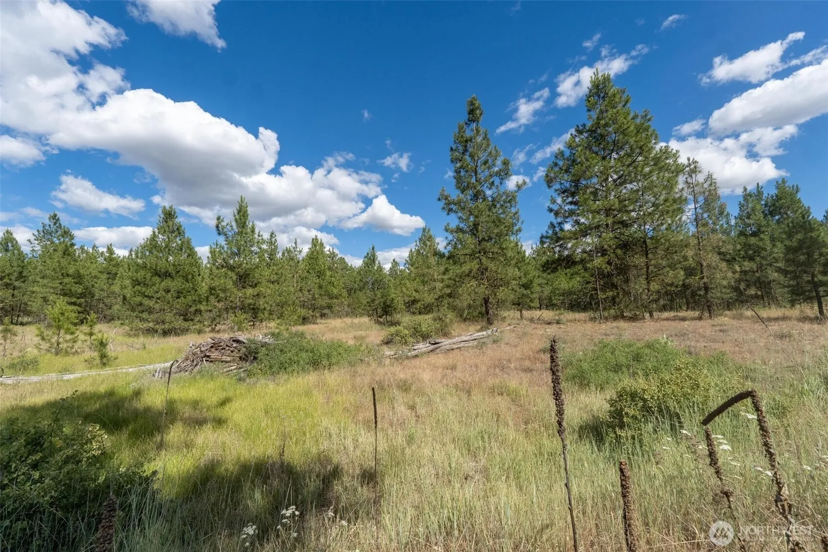 Property photo for 35450 Prairie Lane N #lot 2, Creston photo 4