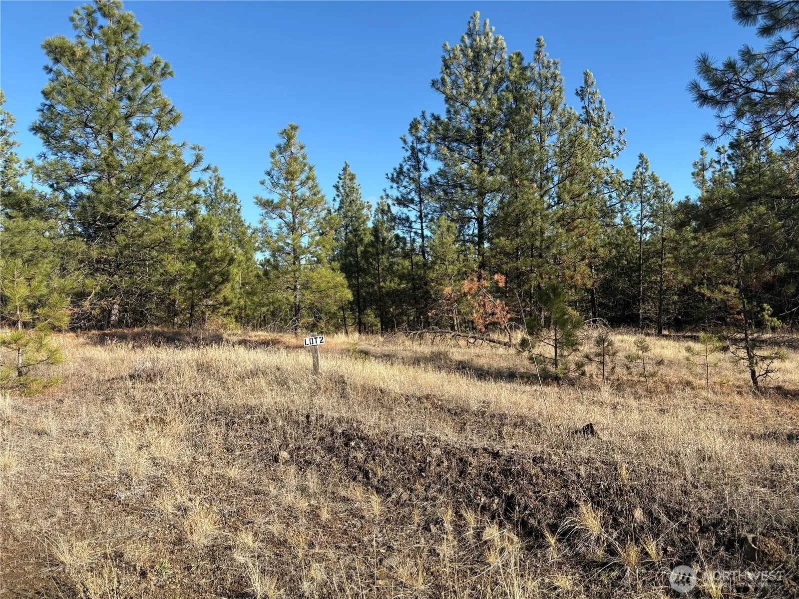 Property photo for 35450 Prairie Lane N #lot 2, Creston