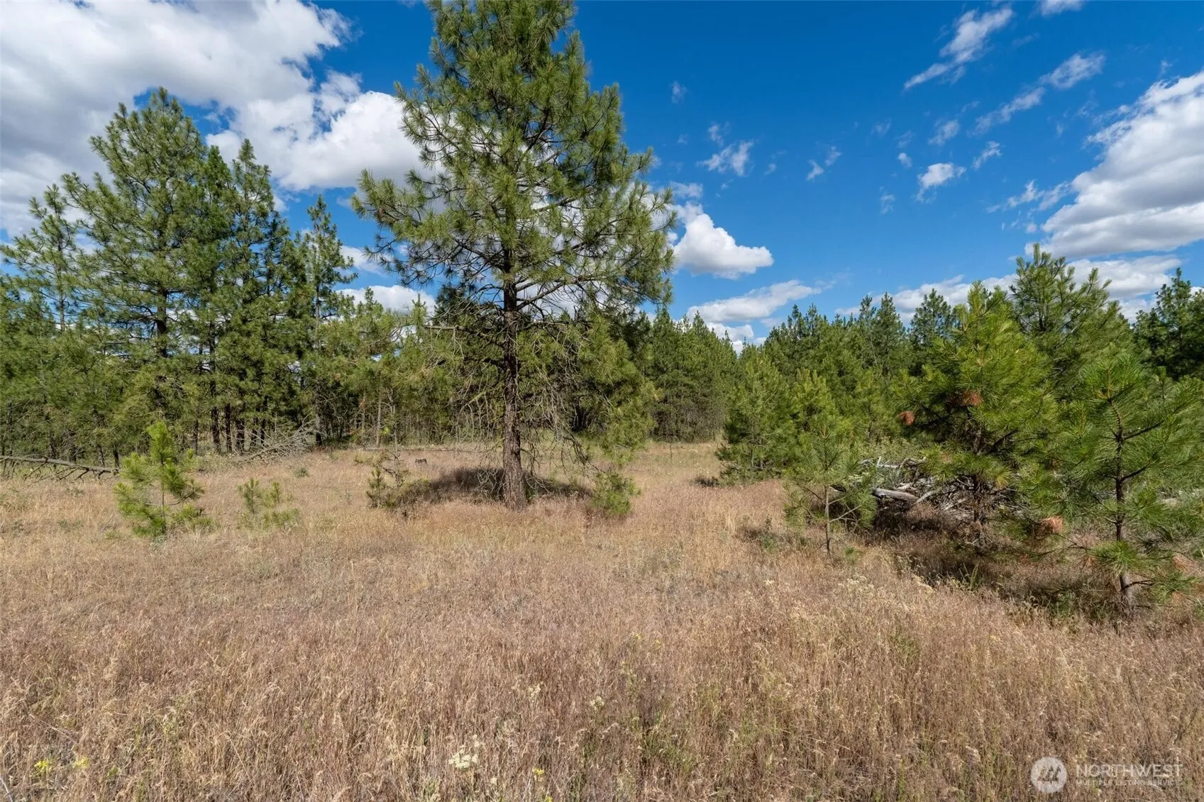 Property photo for 35450 Prairie Lane N #lot 2, Creston photo 5