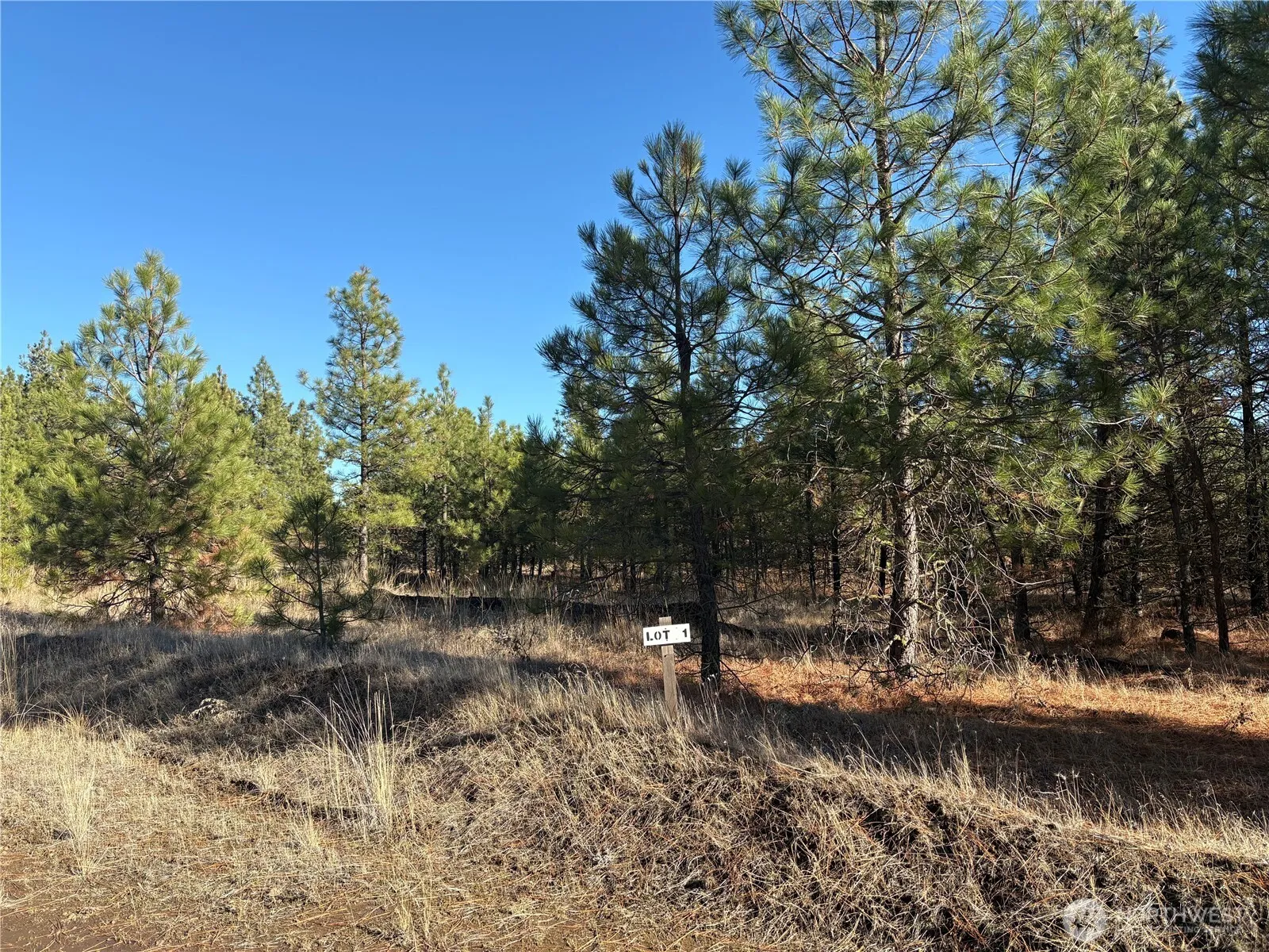 Property photo for 35470 Prairie Lane N #lot 1, Creston