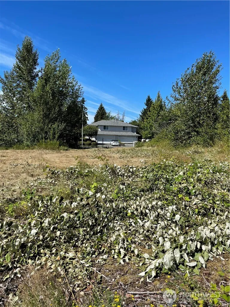 Property photo for 1726 Duvall Avenue Ne, Renton photo 4