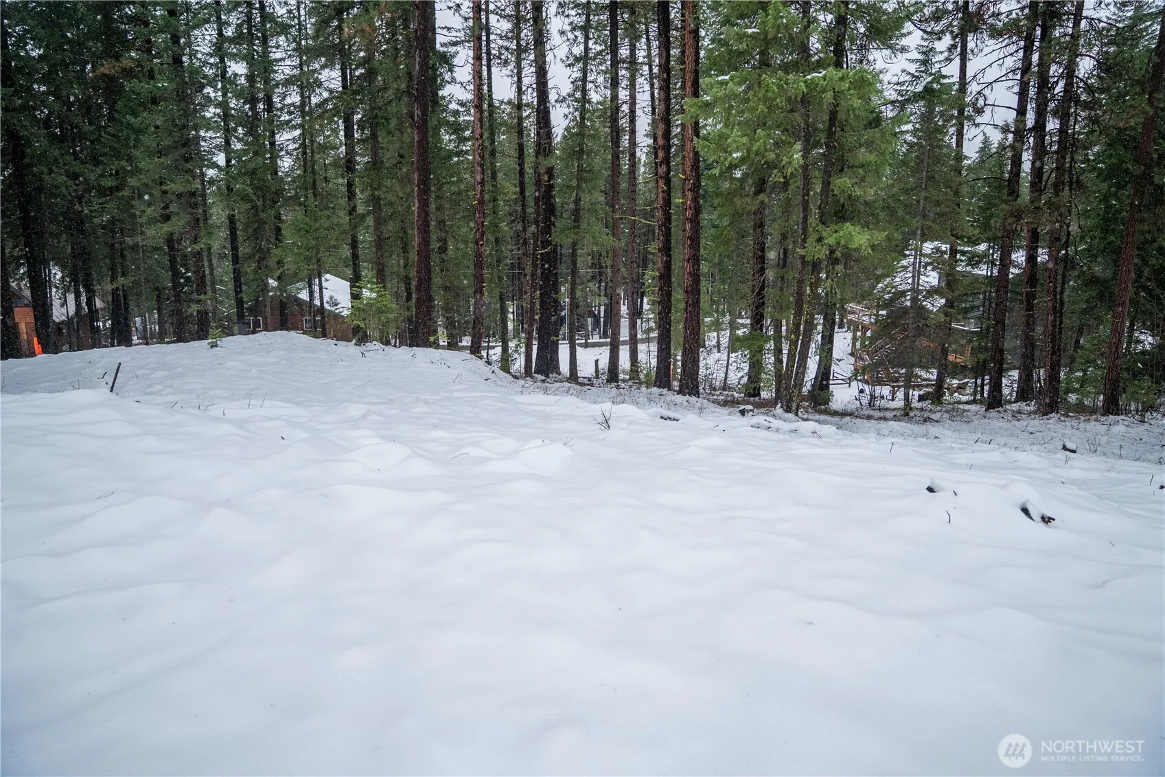 Property photo for 22124 Appaloosa Lane, Leavenworth photo 4