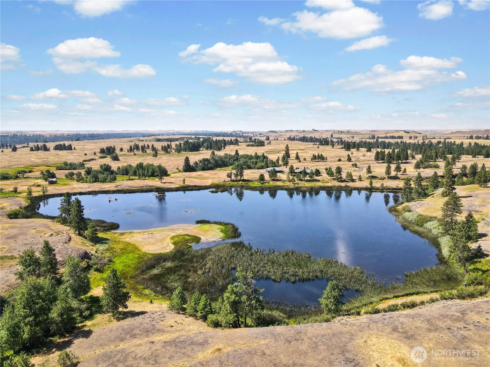 Property photo for 37227 S Long Road, Cheney photo 3