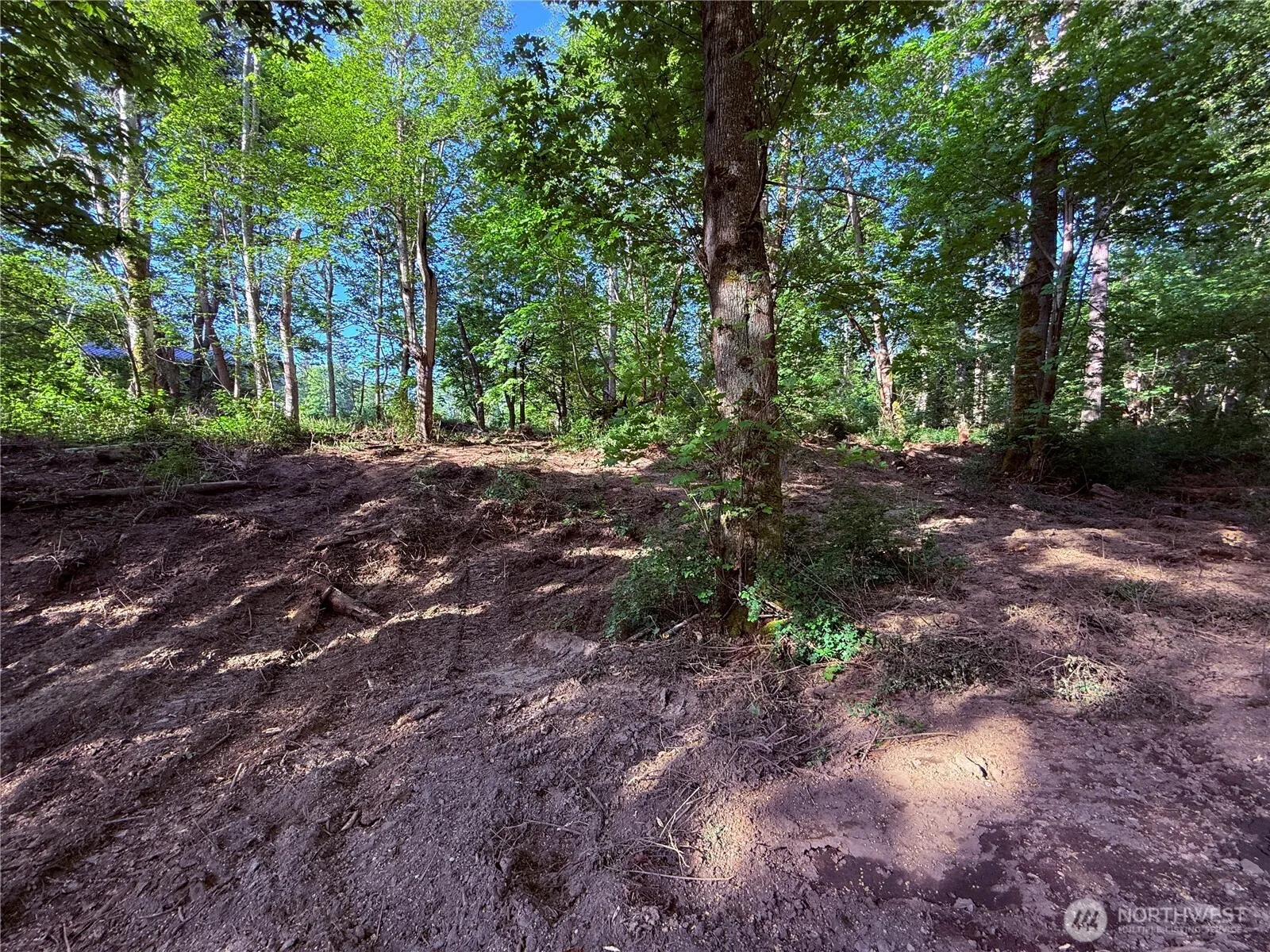 Property photo for 75 F Beach Way, Hat Island photo 5
