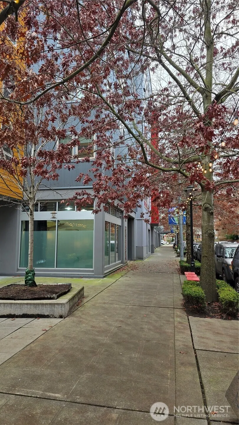 Property photo for 827 Hiawatha Place S #817, Seattle photo 4