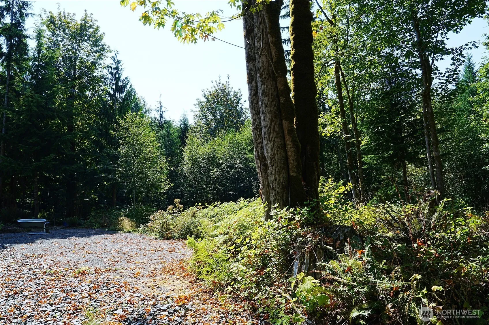 Property photo for 2514 177th Avenue Ne, Snohomish photo 3