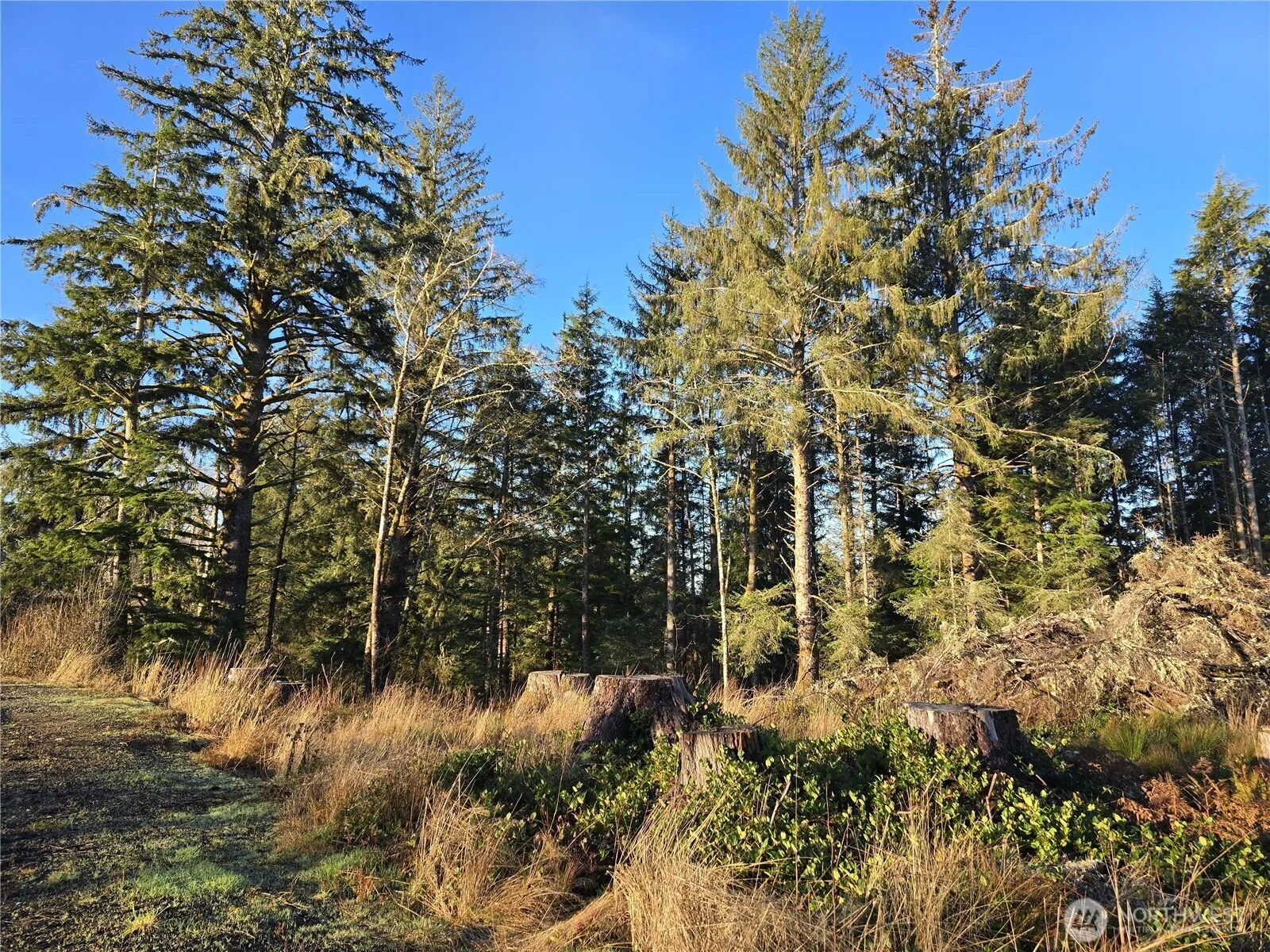 Property photo for 2753 State Route 101, Ilwaco photo 5
