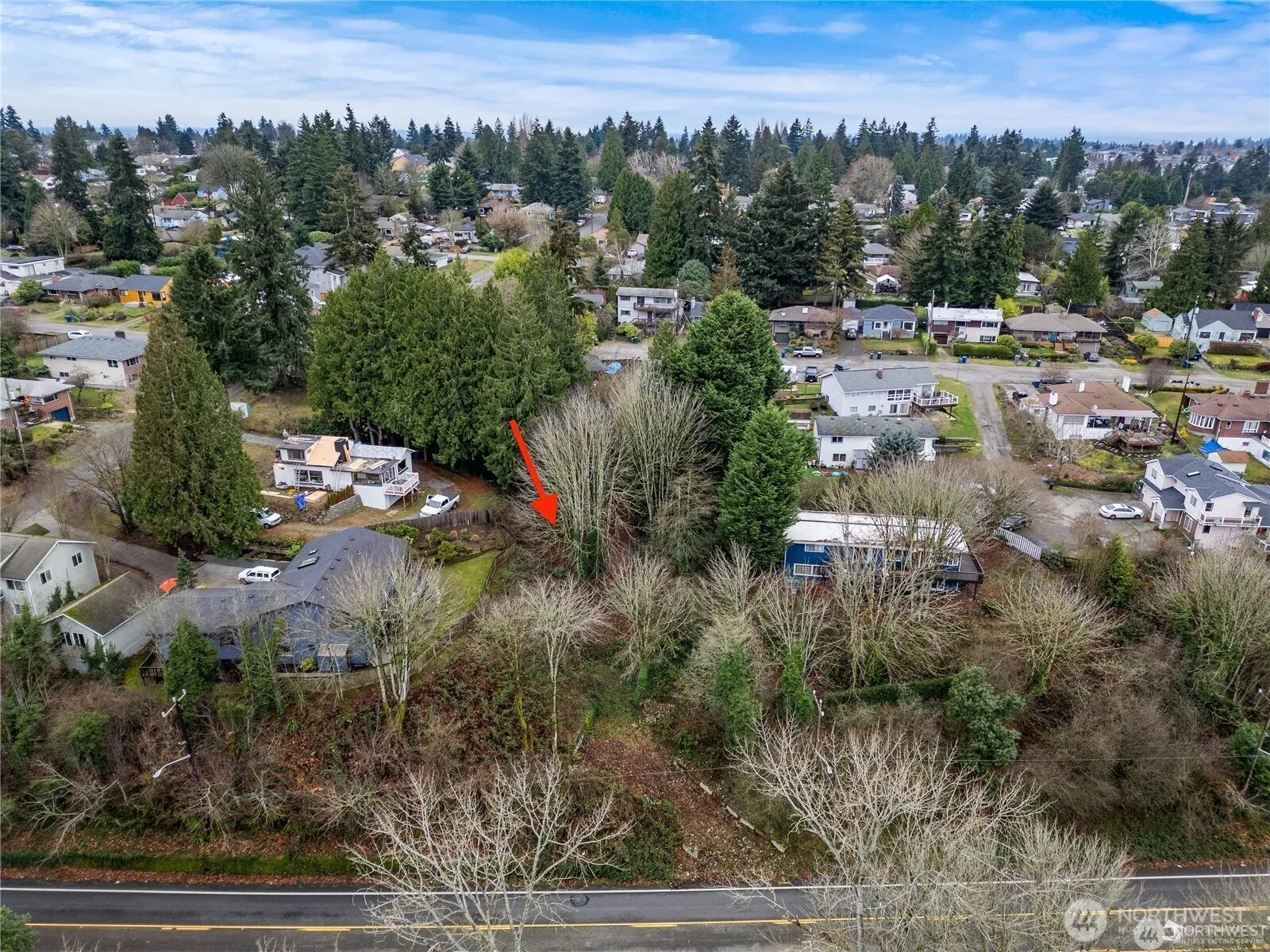 Property photo for 10301 Myers Way S, Seattle photo 3