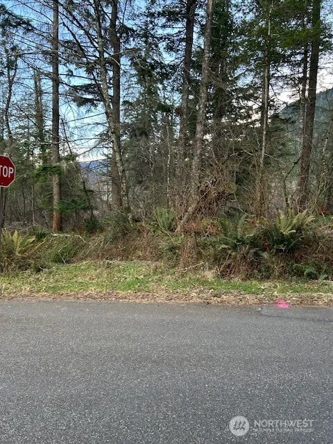Property photo for 0 Se 166th Street, North Bend
