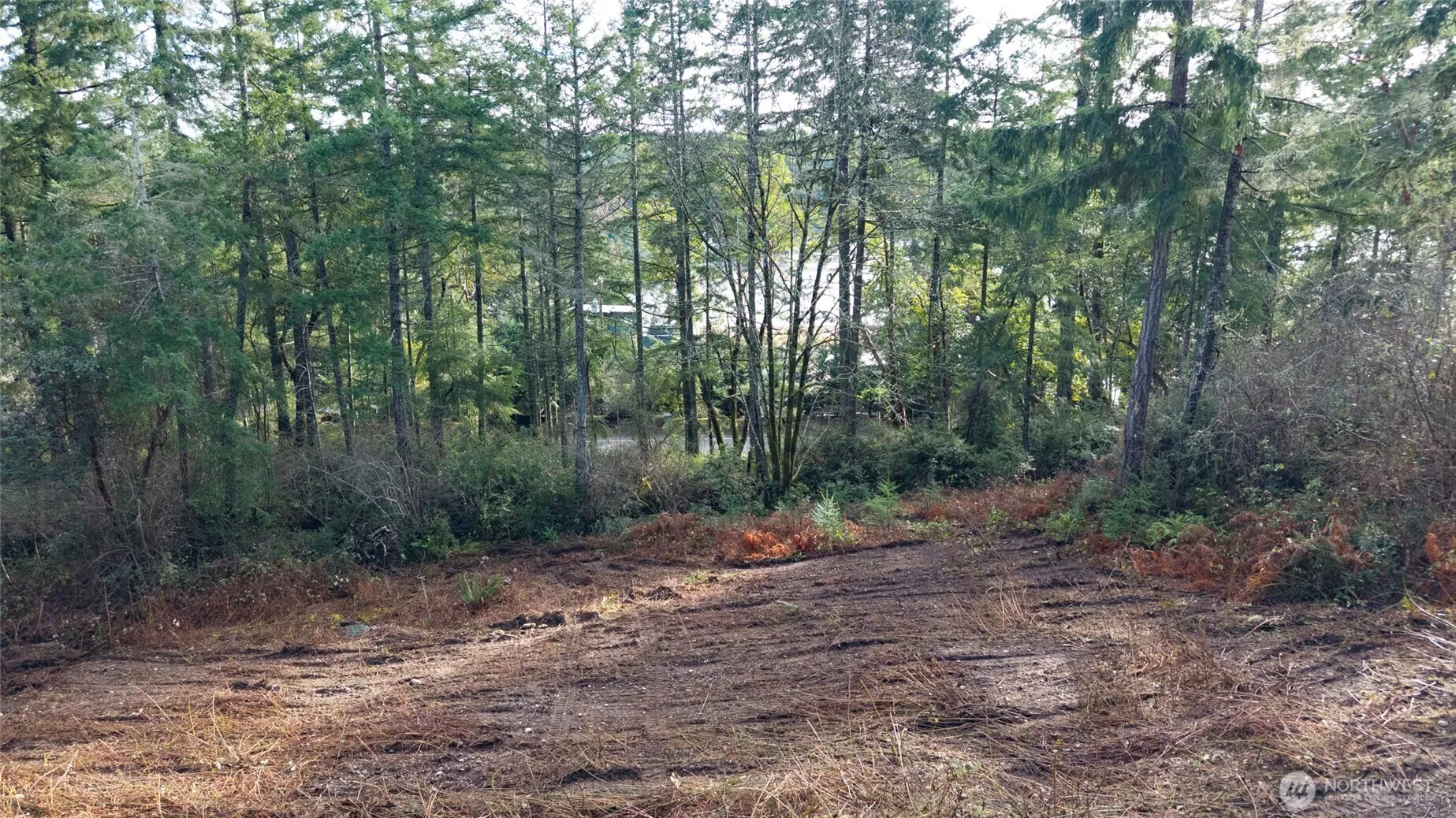 Property photo for 11515 189 Avenue Nw, Gig Harbor photo 5